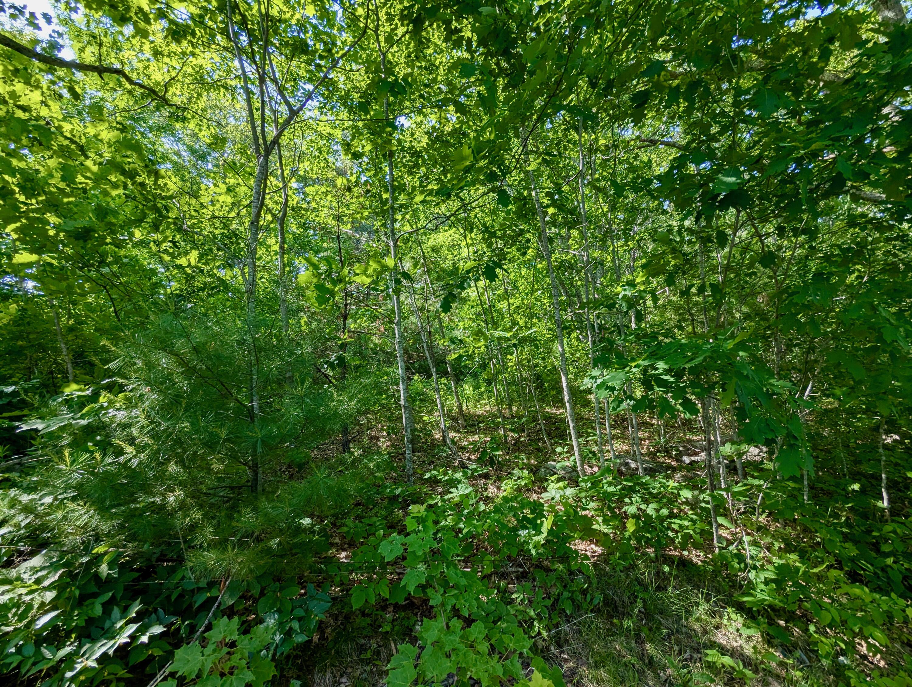 Lot TBD West Hamlet Road