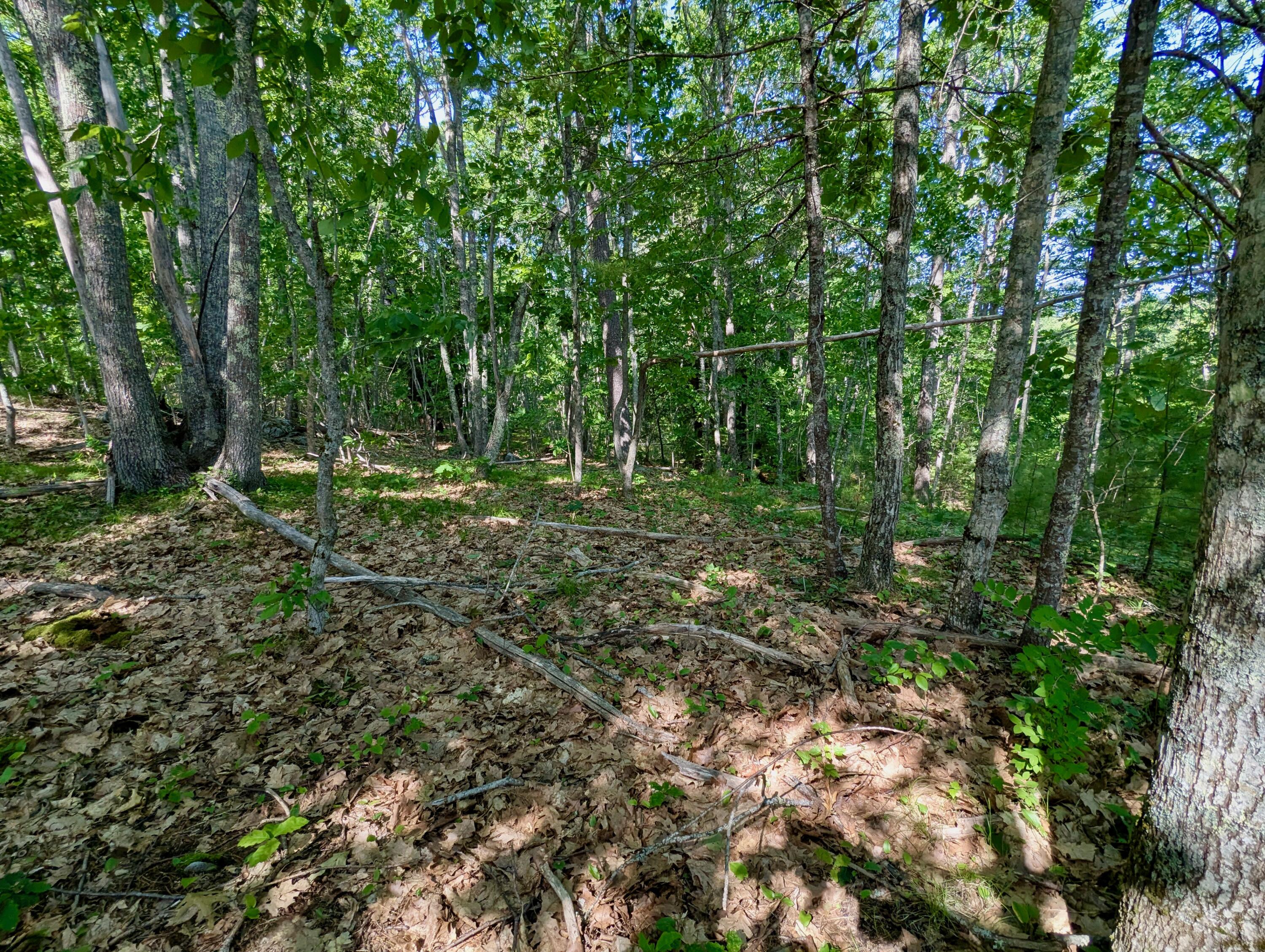 Lot TBD West Hamlet Road