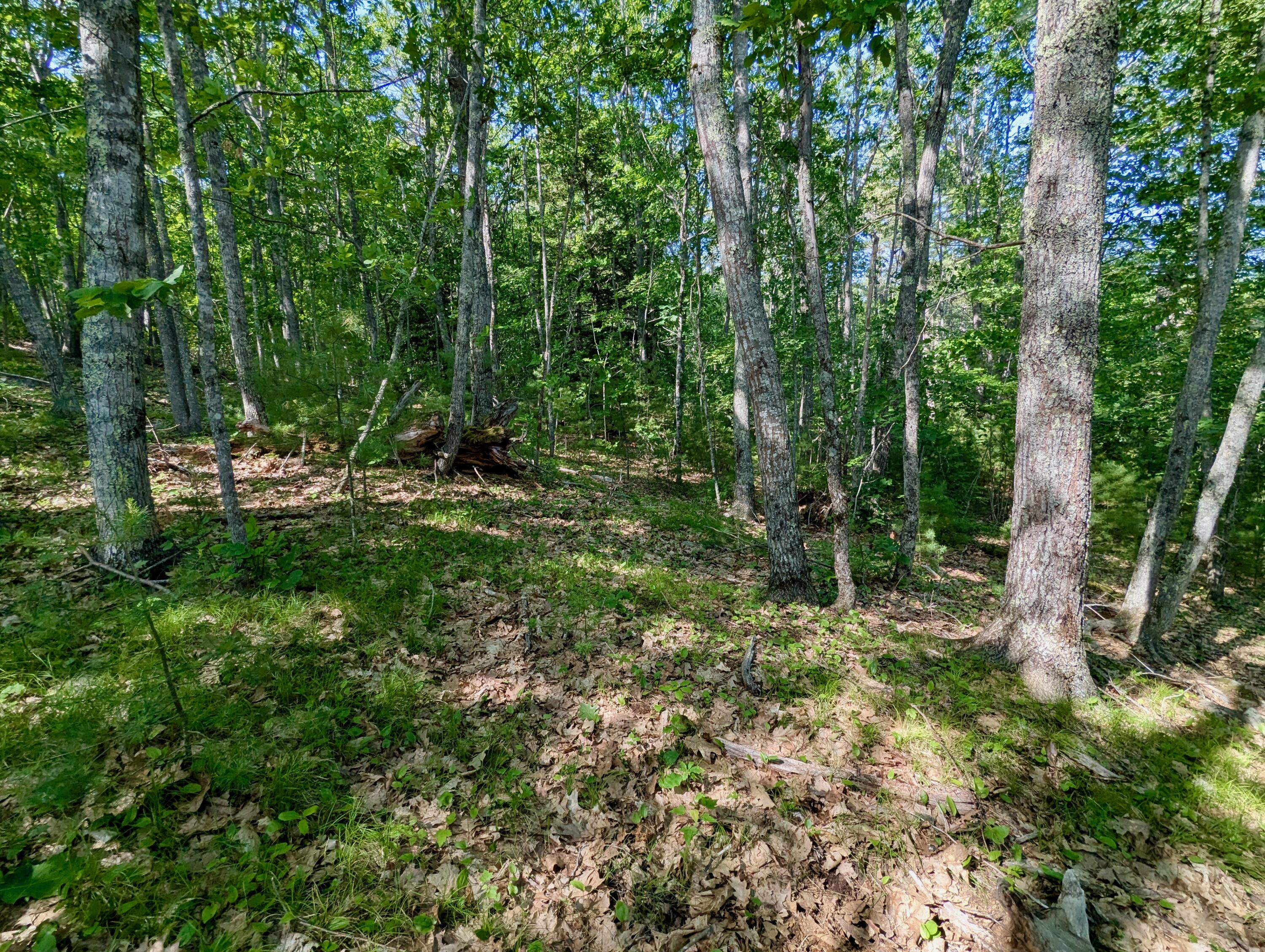 Lot TBD West Hamlet Road
