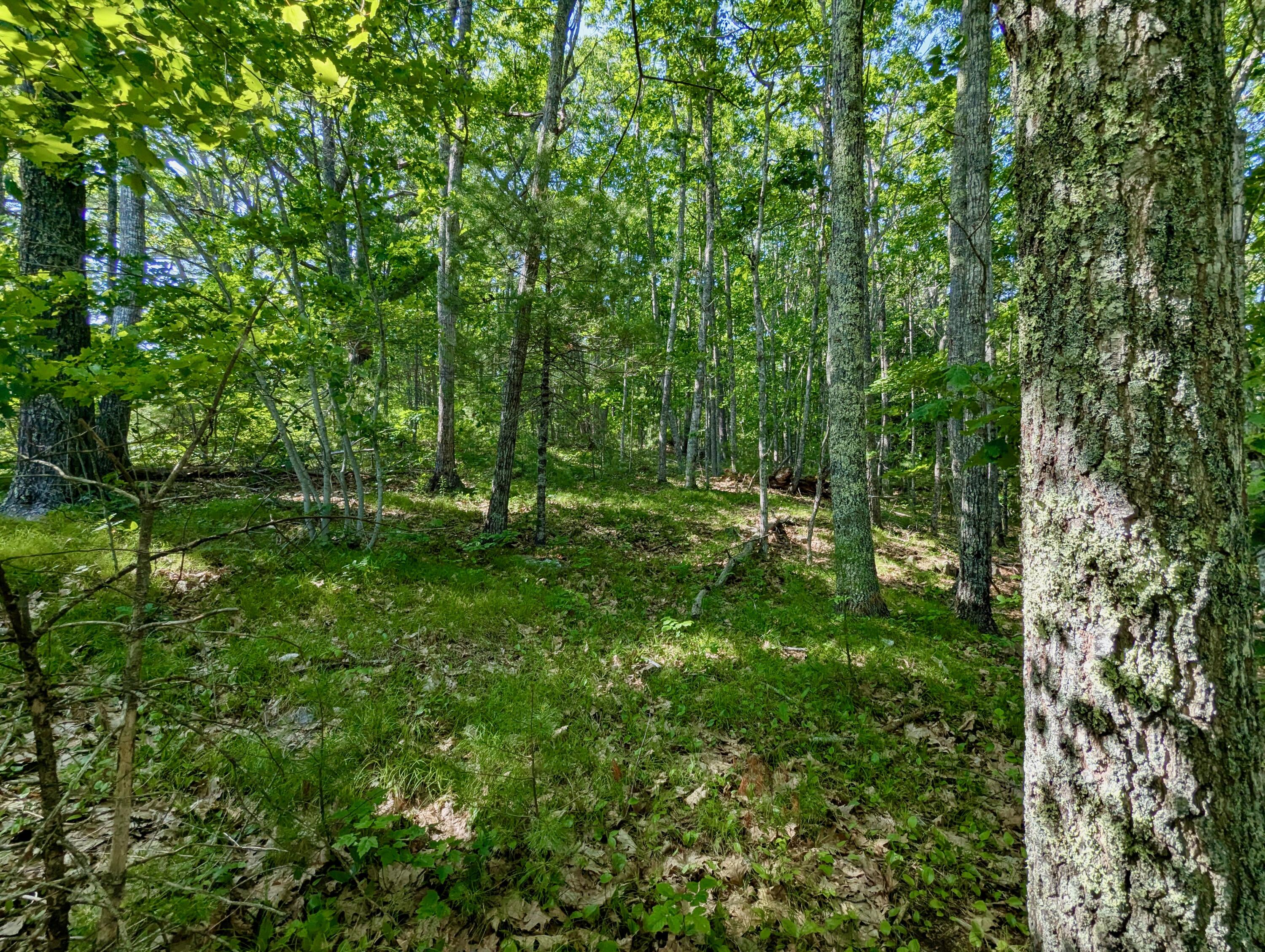 Lot TBD West Hamlet Road