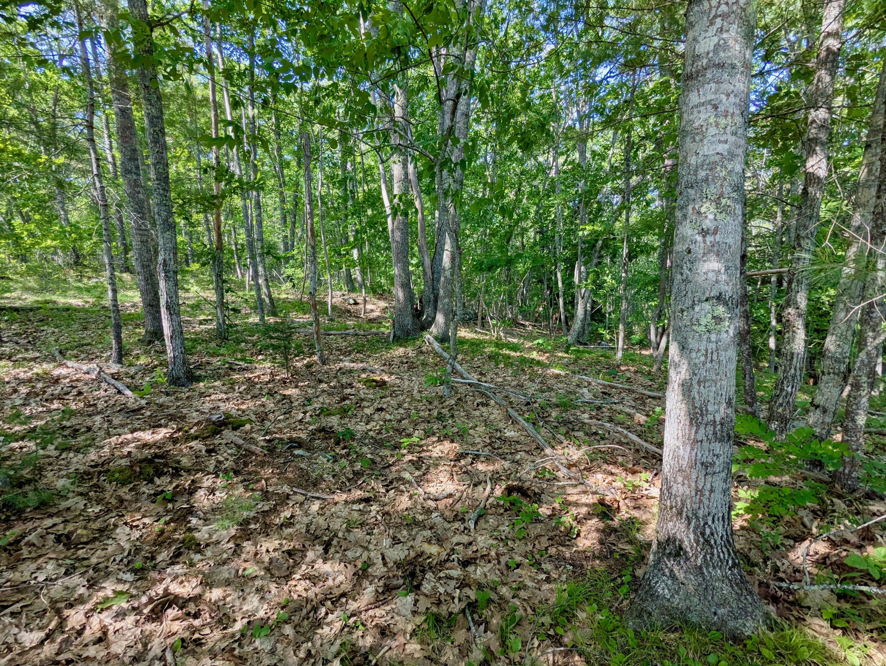 Lot TBD West Hamlet Road