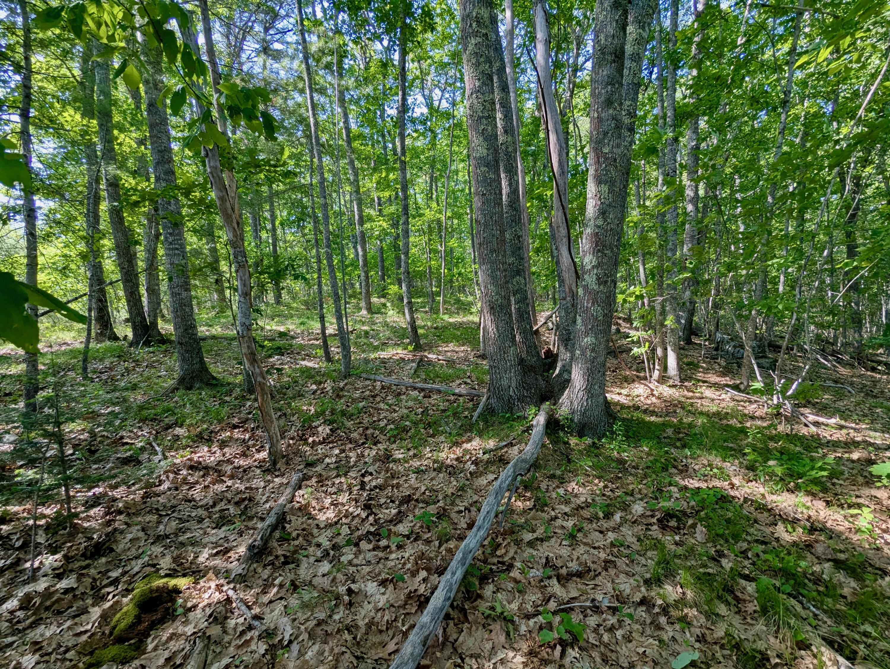 Lot TBD West Hamlet Road