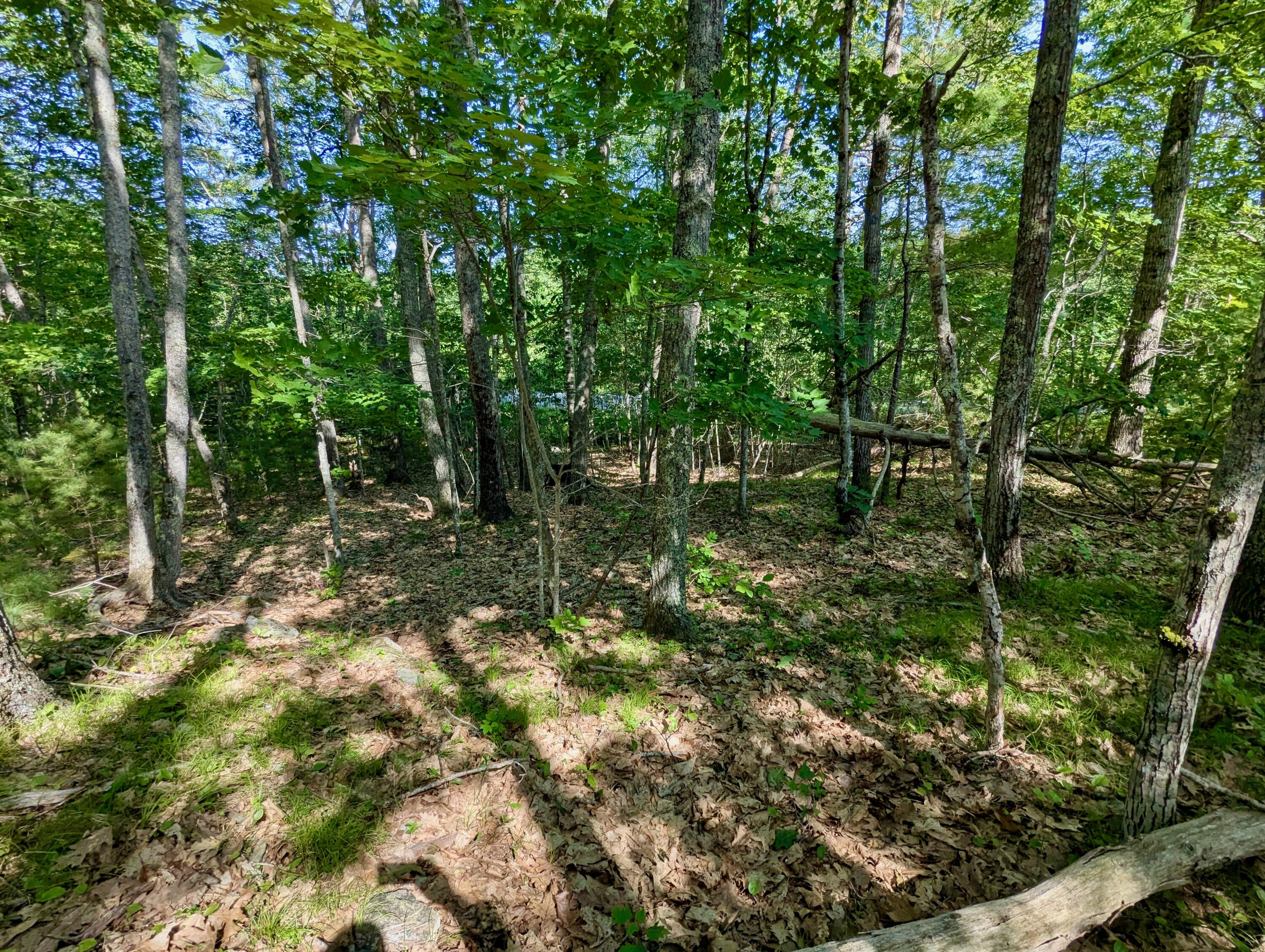 Lot TBD West Hamlet Road