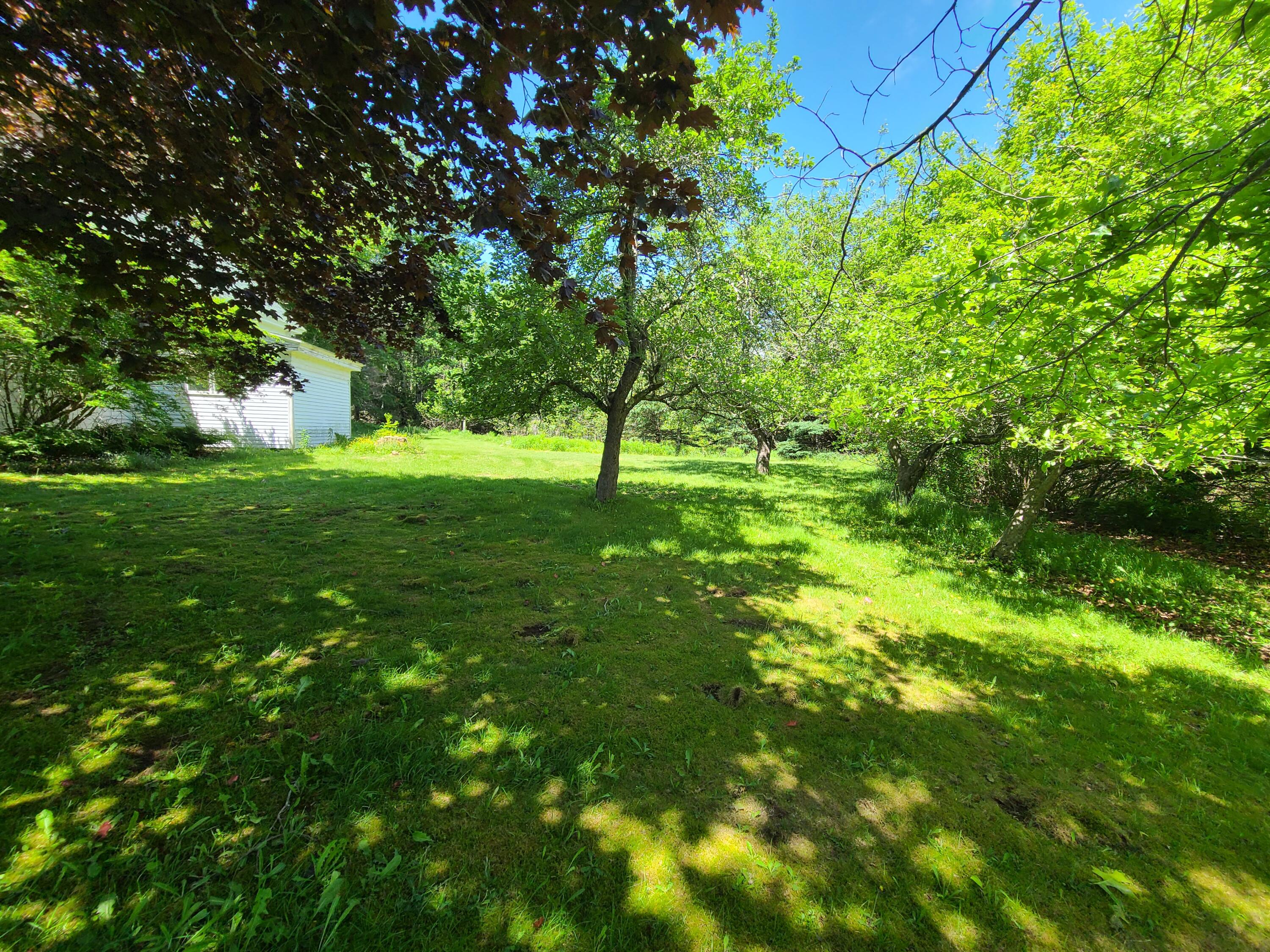 597 Falls Bridge Road