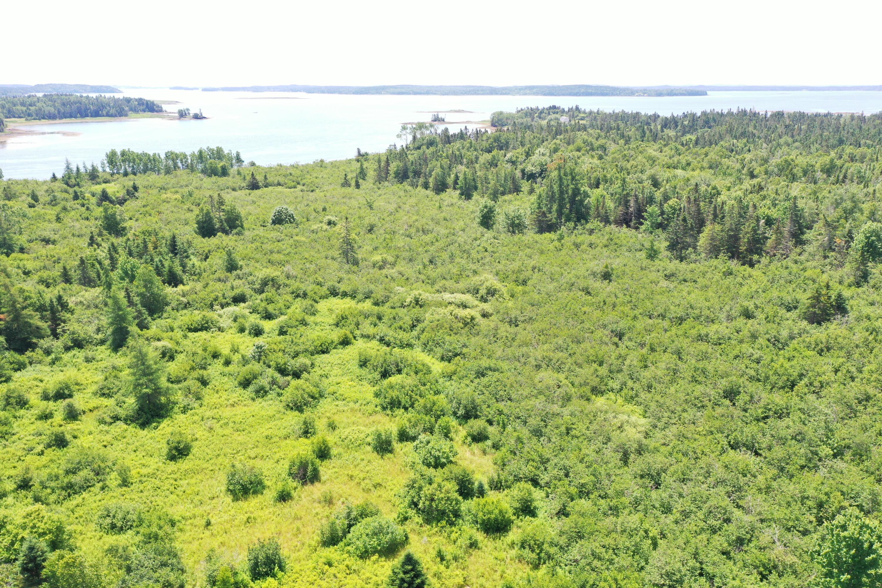 M2 L15-007 Cannon Hill Road