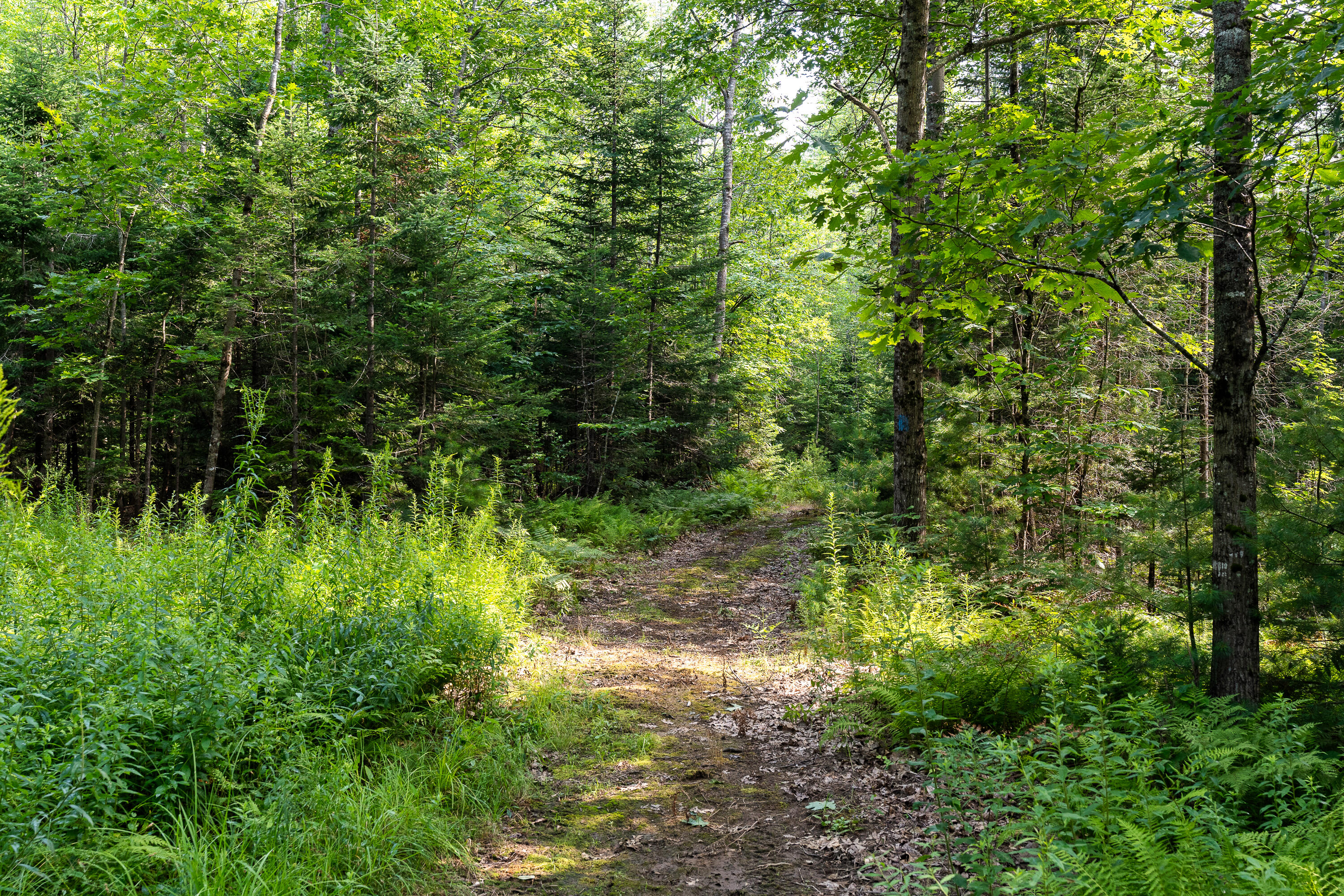584 Poland Range Road