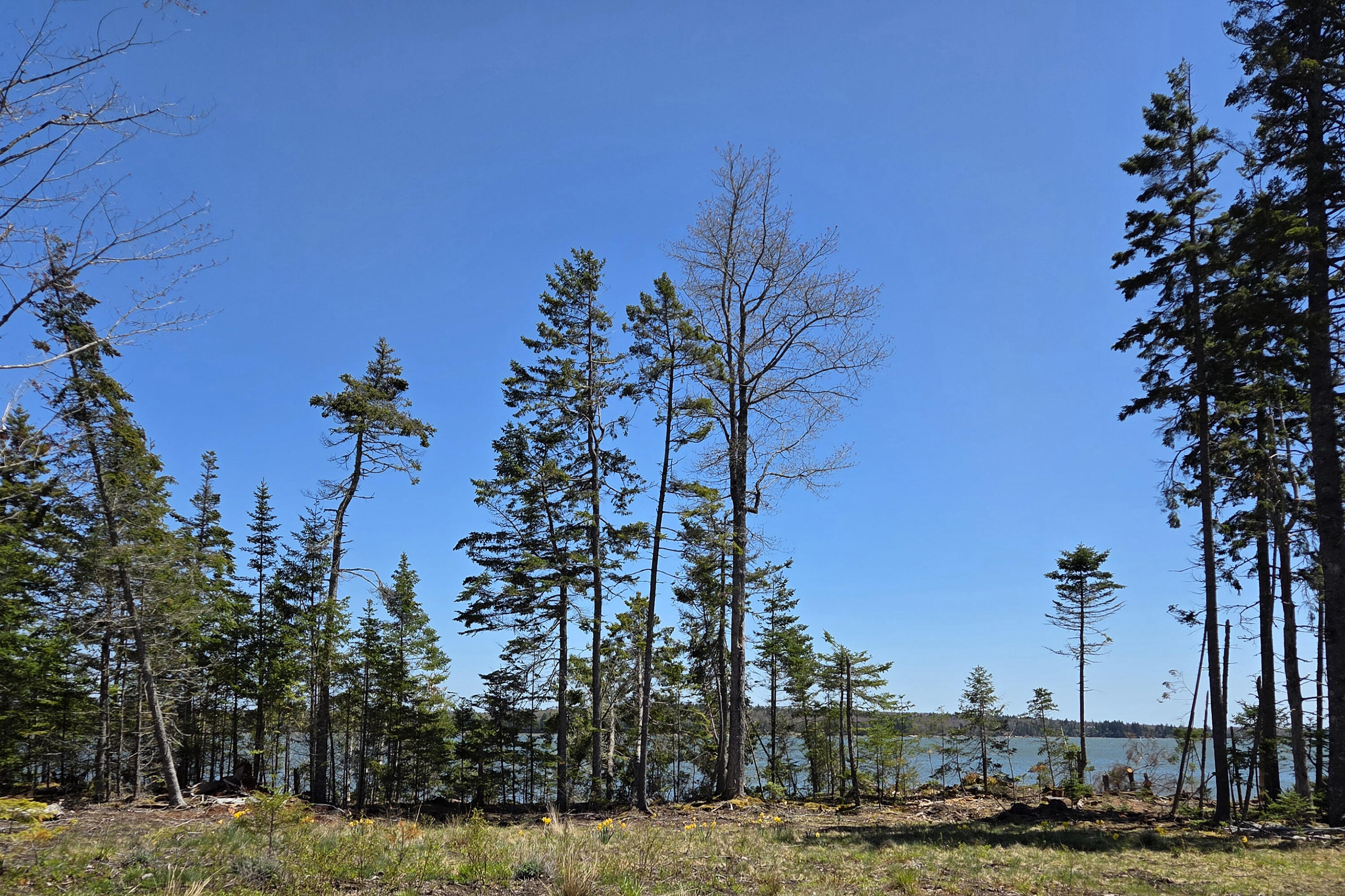 230 Oak Point Road