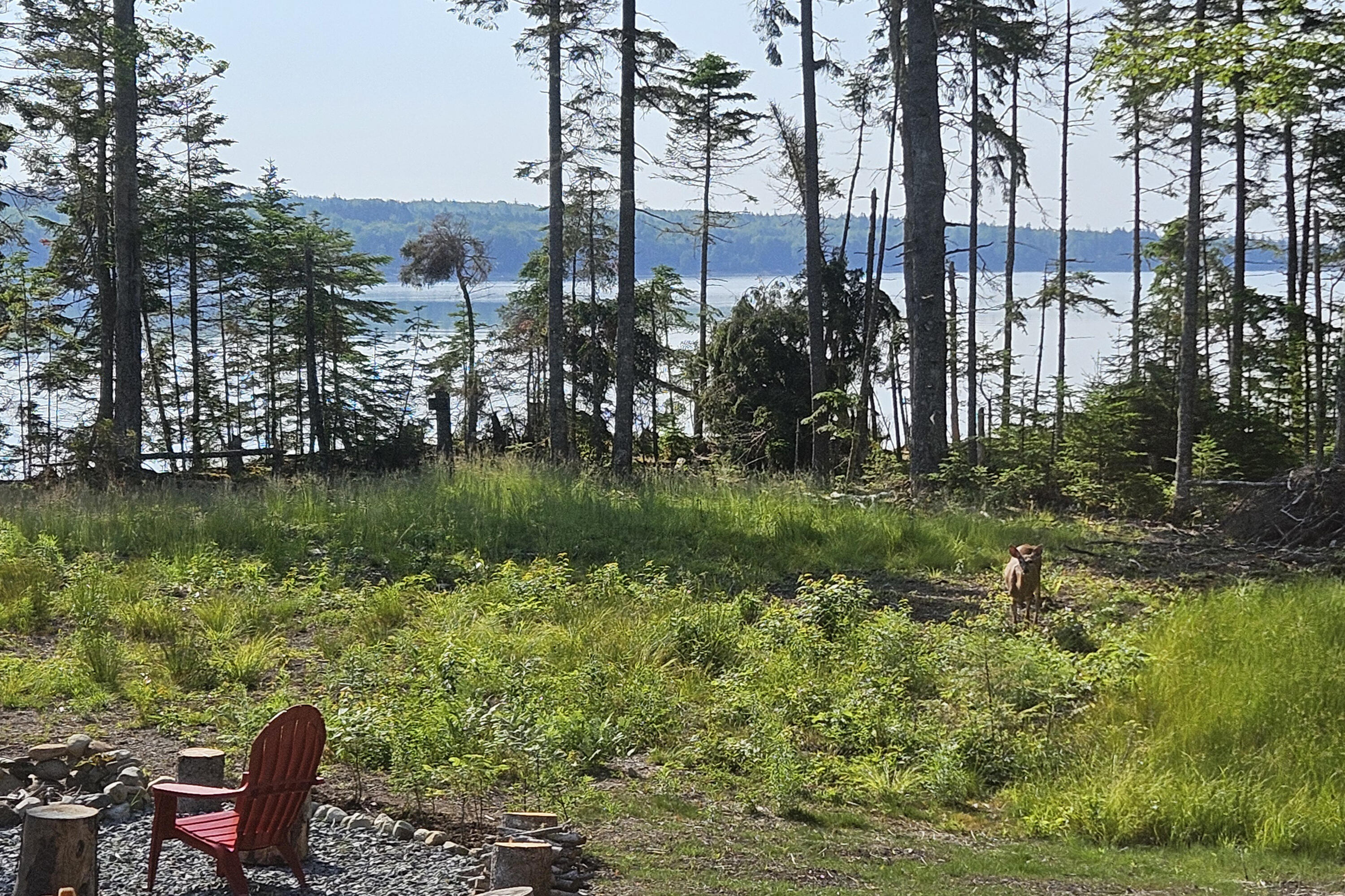 230 Oak Point Road