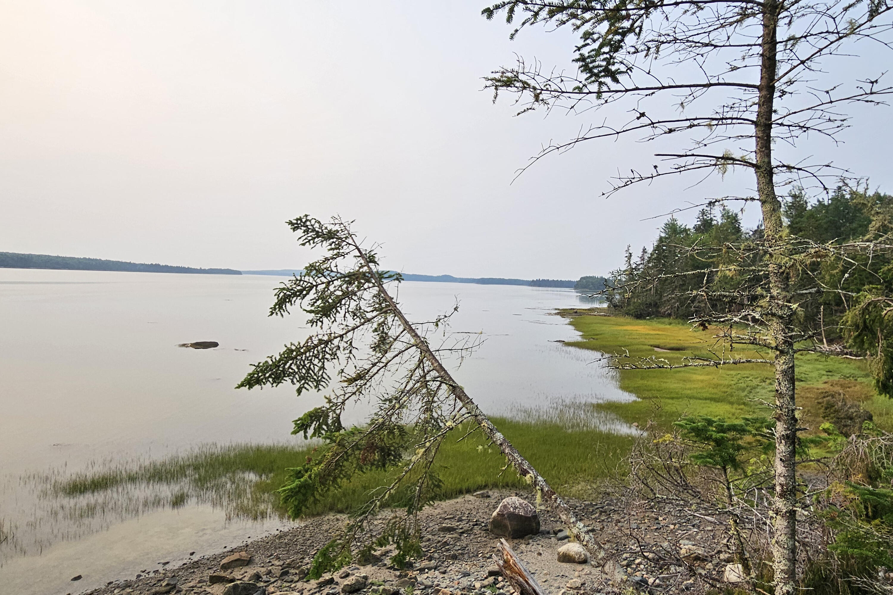 230 Oak Point Road