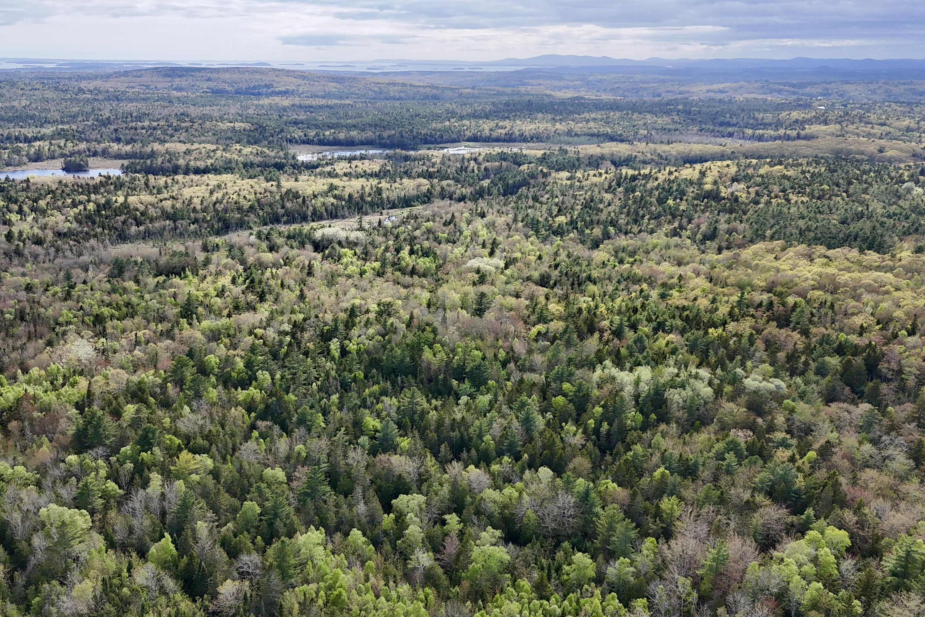 0 Sedgwick Ridge Road