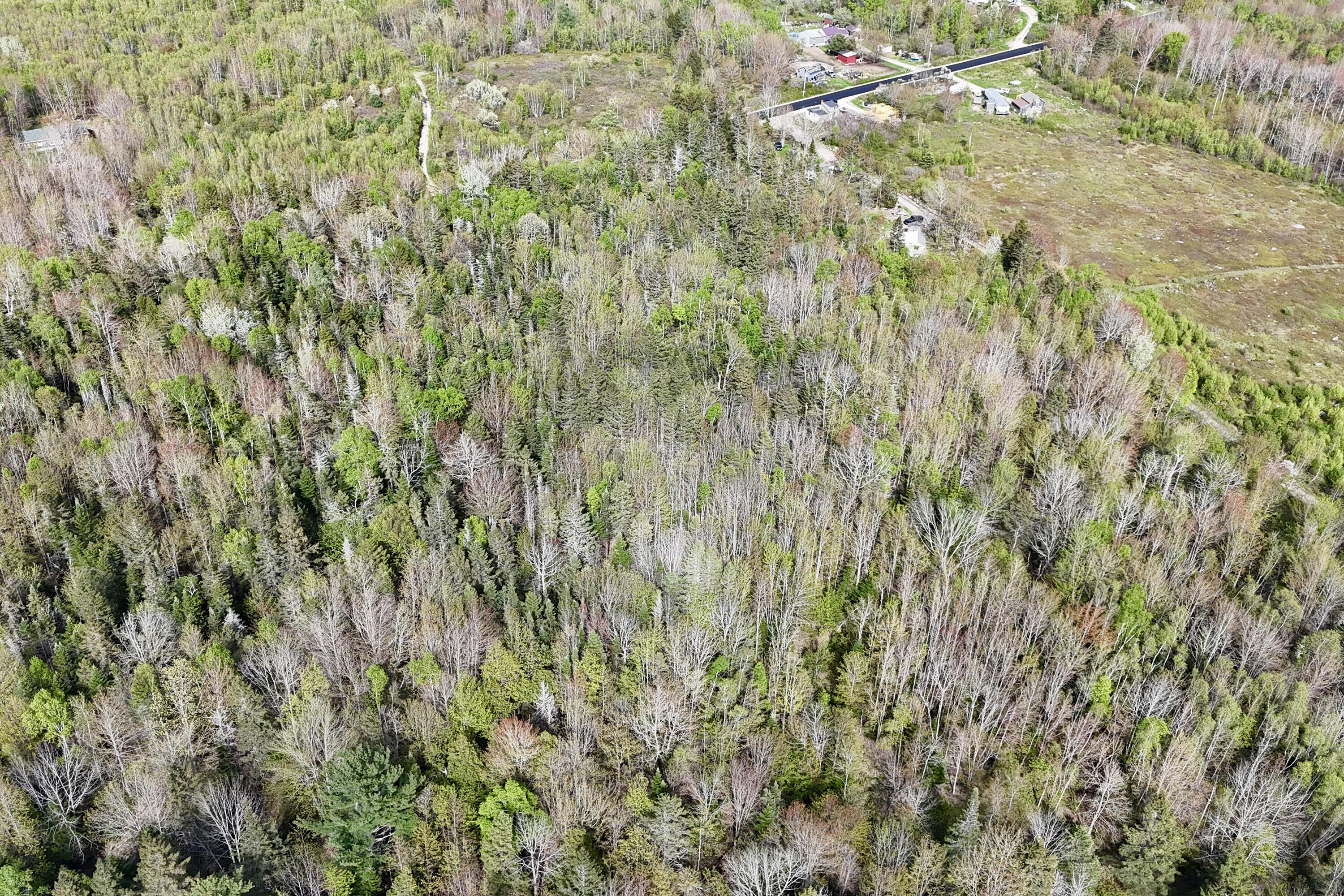 0 Sedgwick Ridge Road