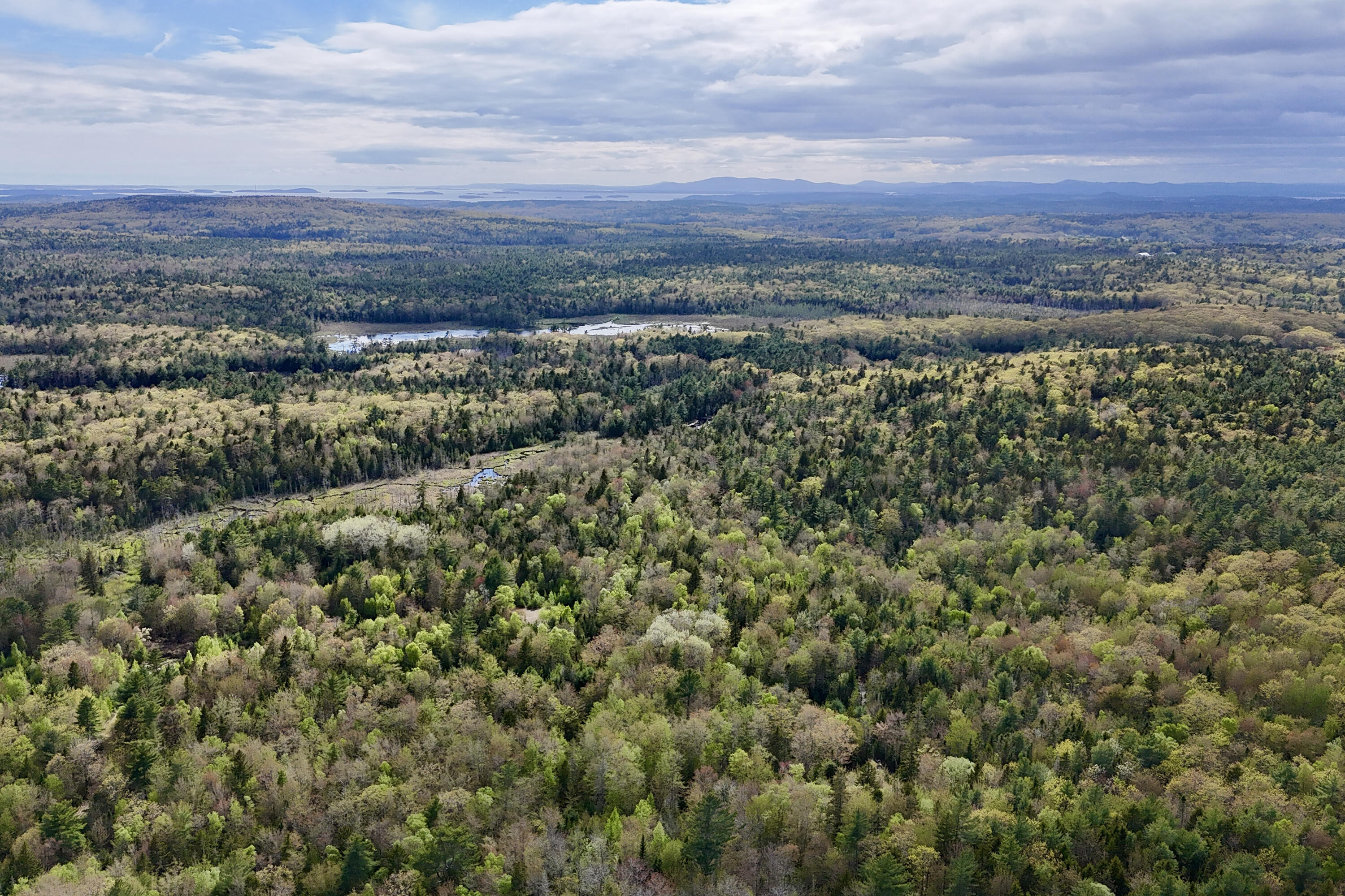0 Sedgwick Ridge Road