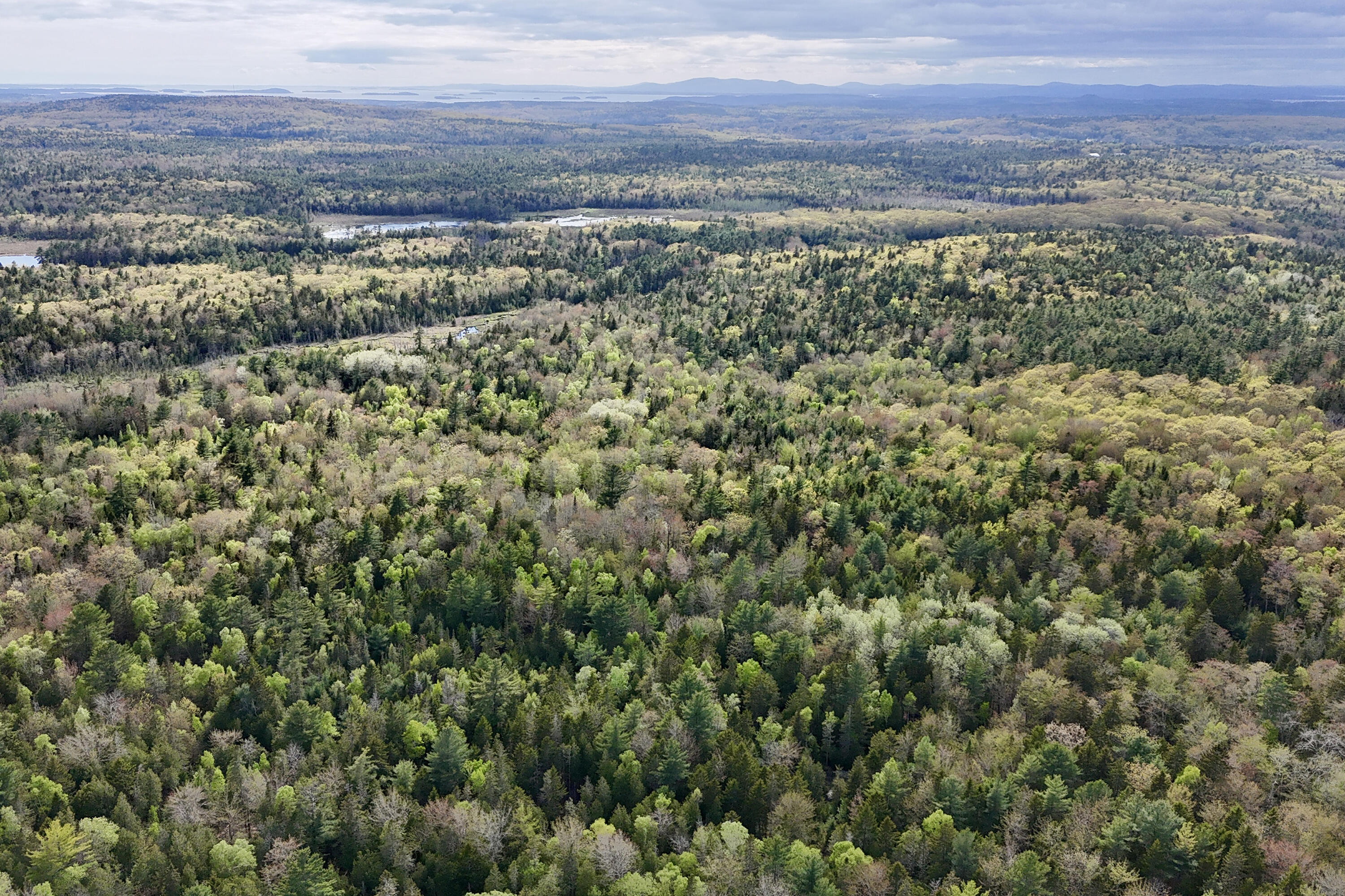 0 Sedgwick Ridge Road
