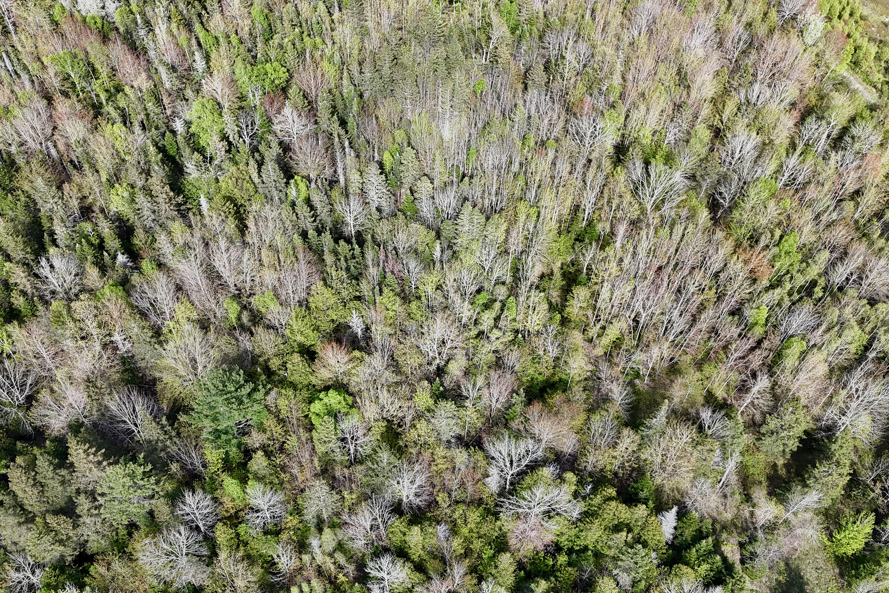 0 Sedgwick Ridge Road