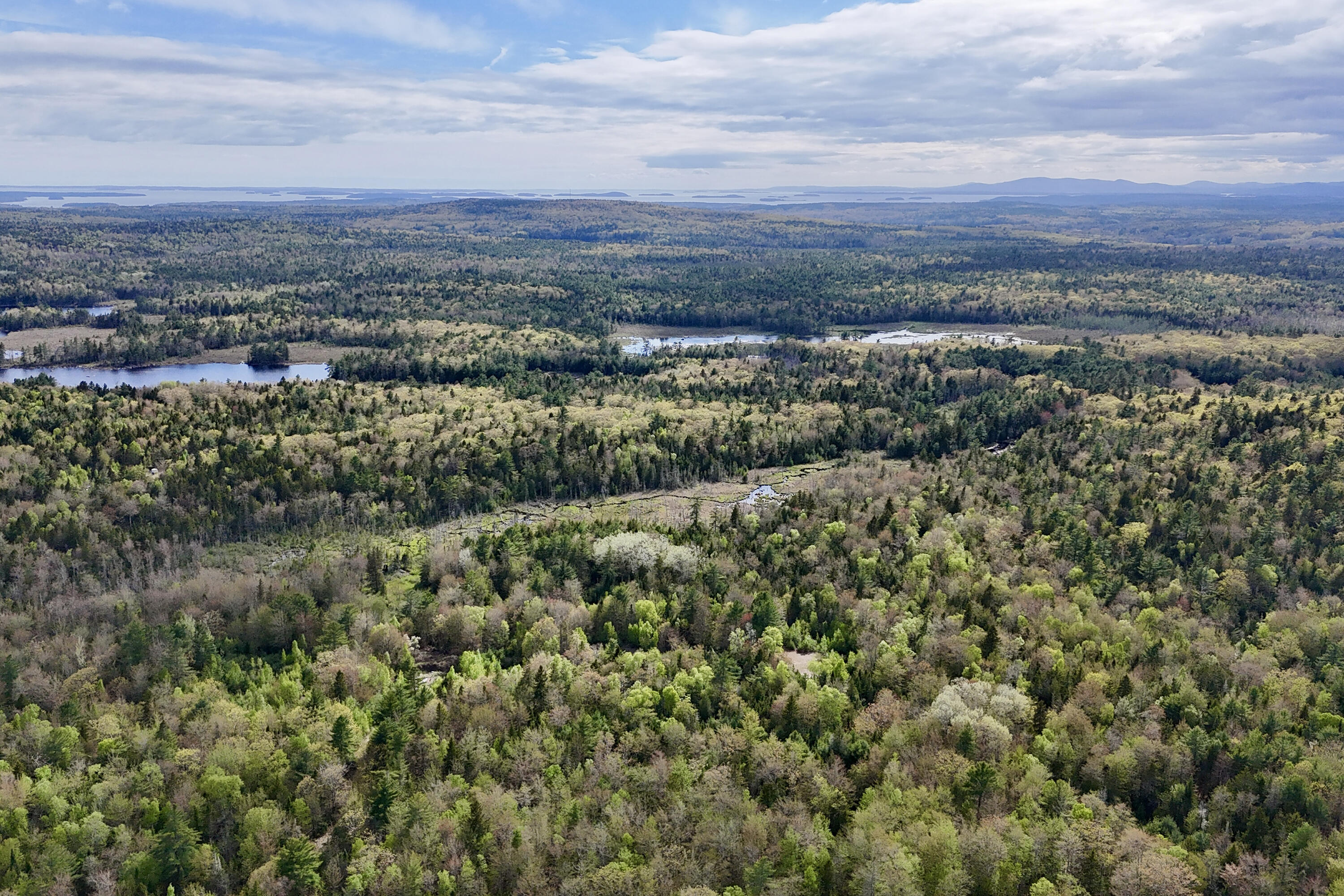 0 Sedgwick Ridge Road