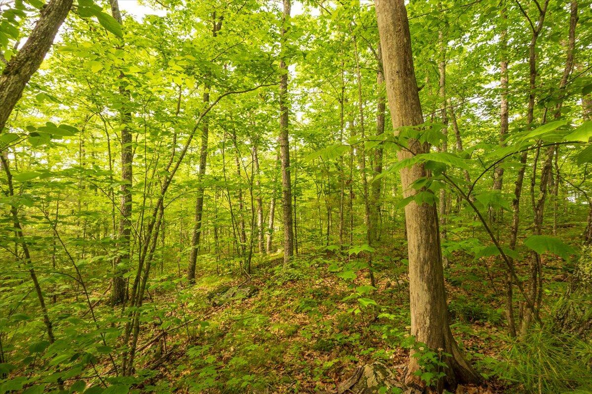 Lot 5-2-4 Porcupine Ridge Road