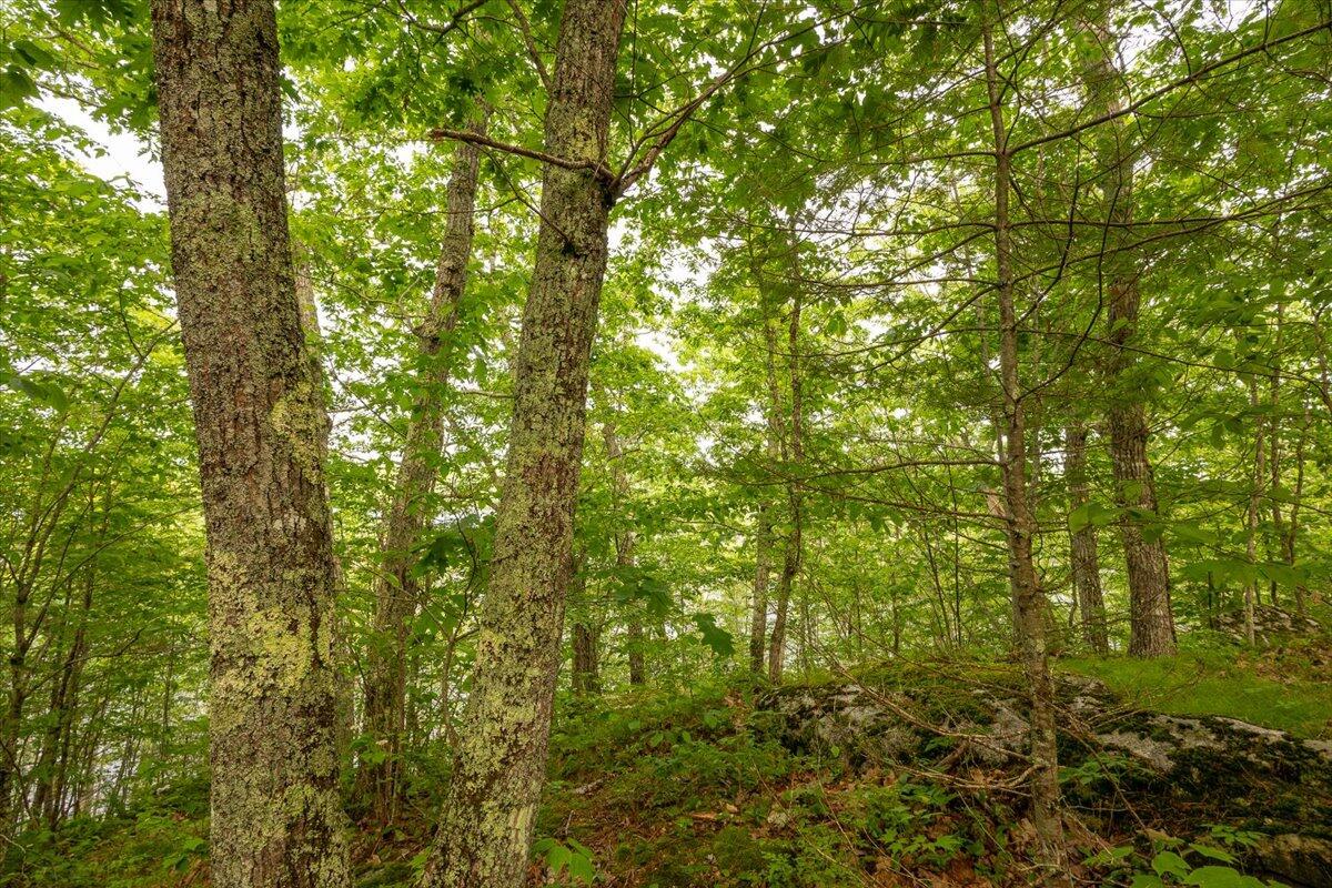 Lot 5-2-4 Porcupine Ridge Road