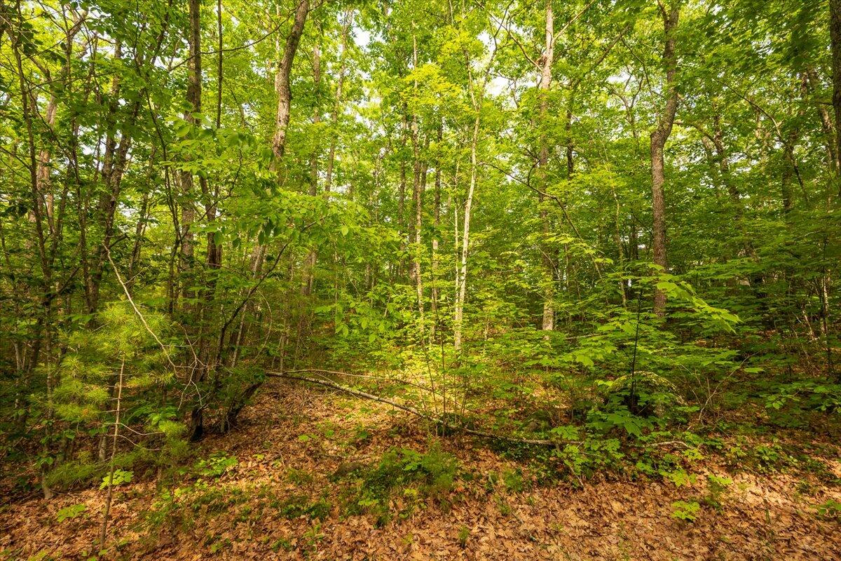 Lot 5-2-4 Porcupine Ridge Road