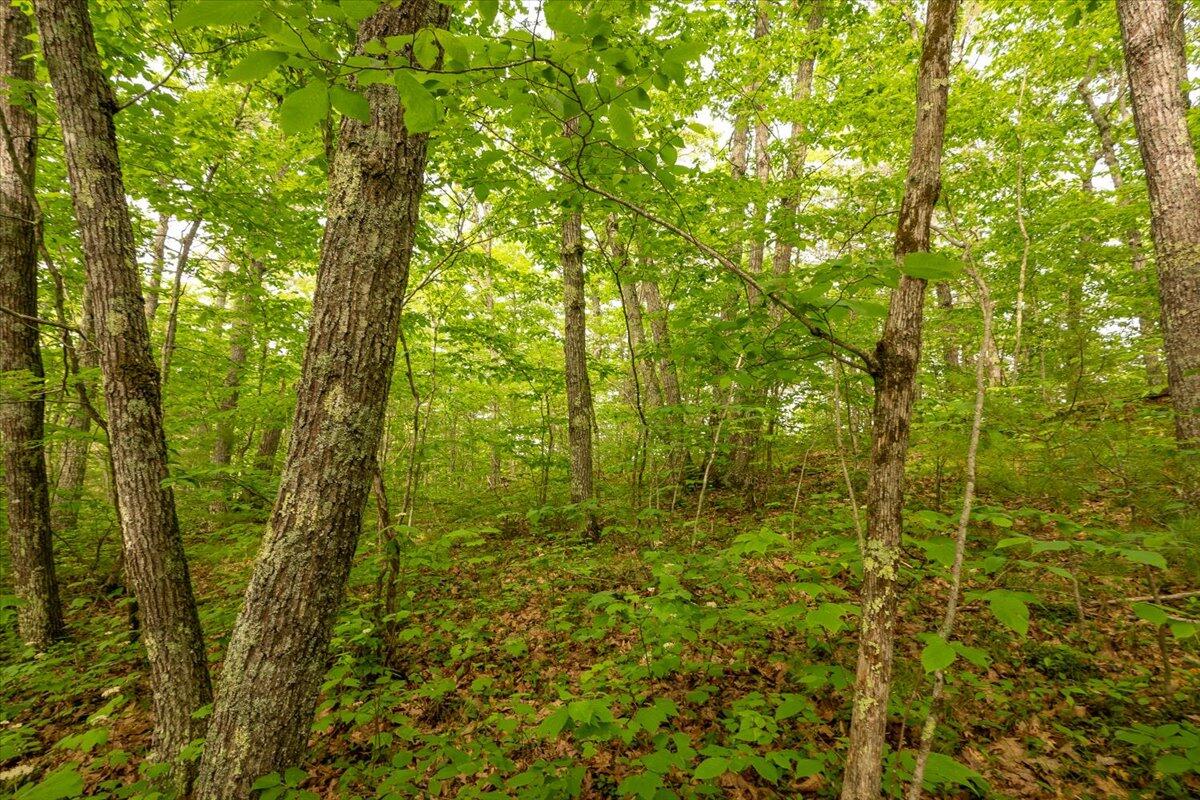 Lot 5-2-4 Porcupine Ridge Road