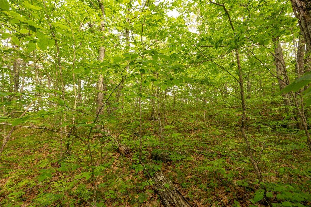 Lot 5-2-4 Porcupine Ridge Road