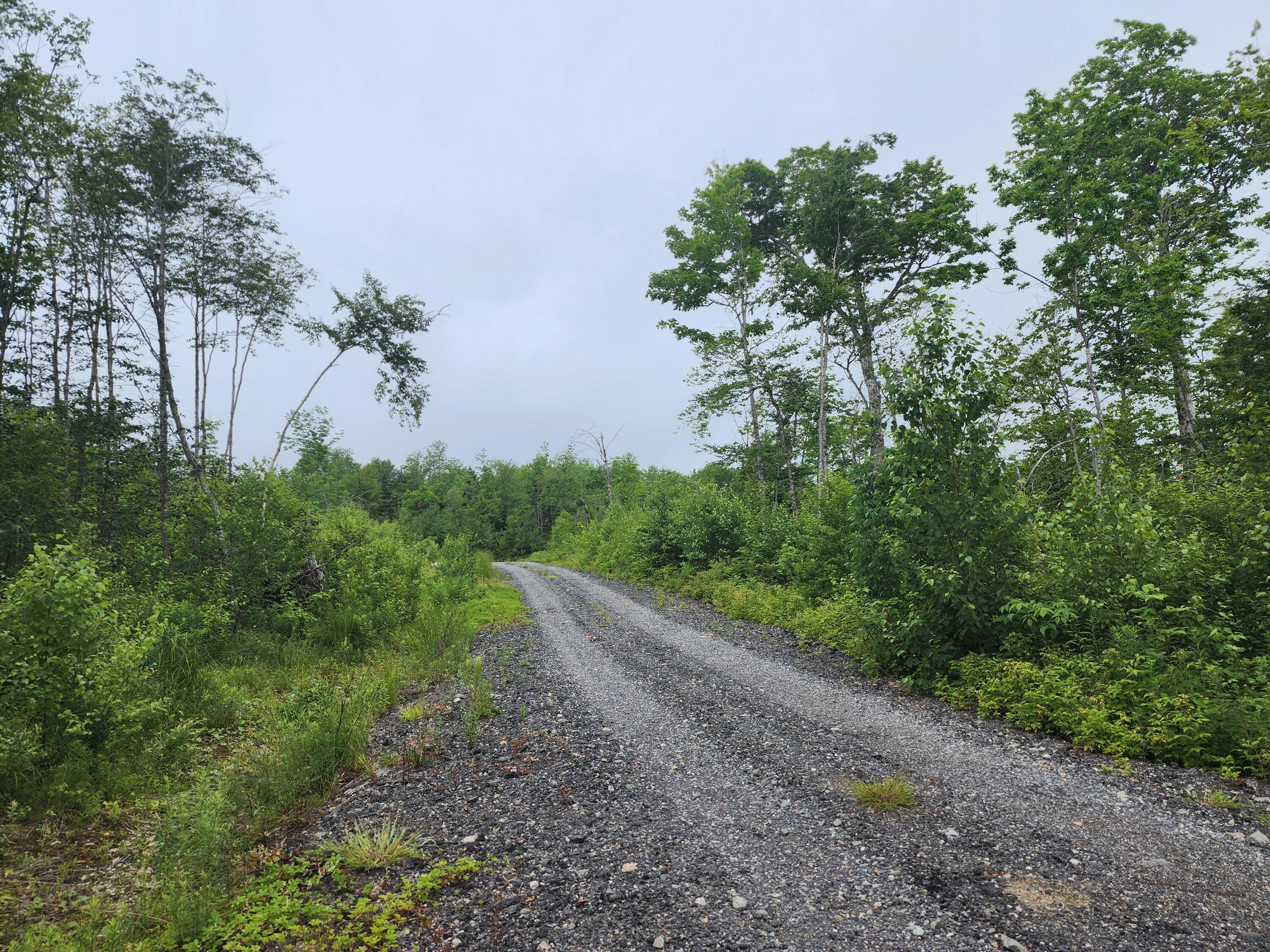 213 Moose Hill Road