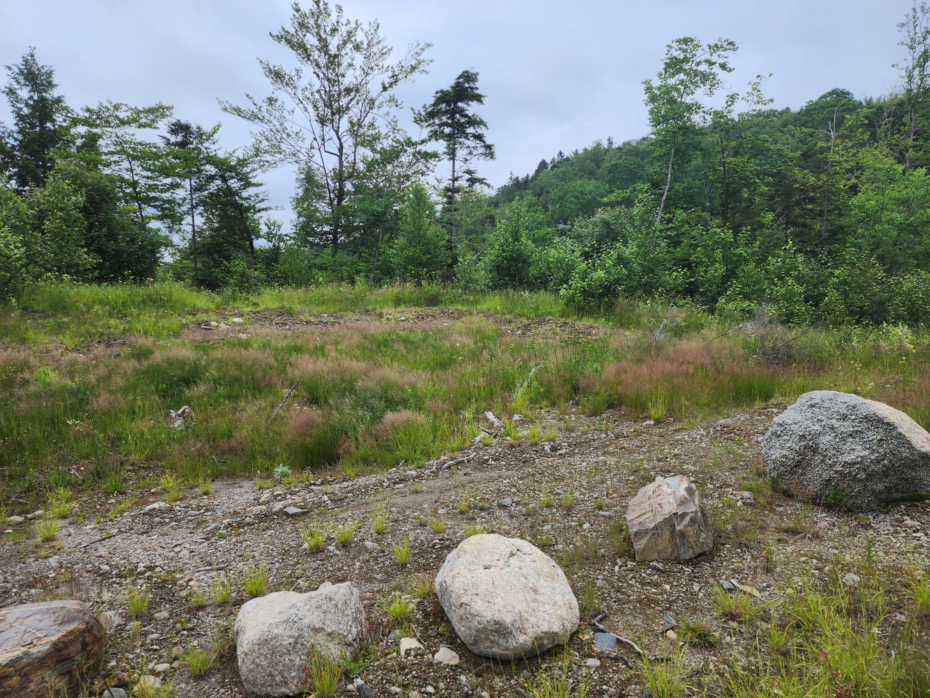 213 Moose Hill Road