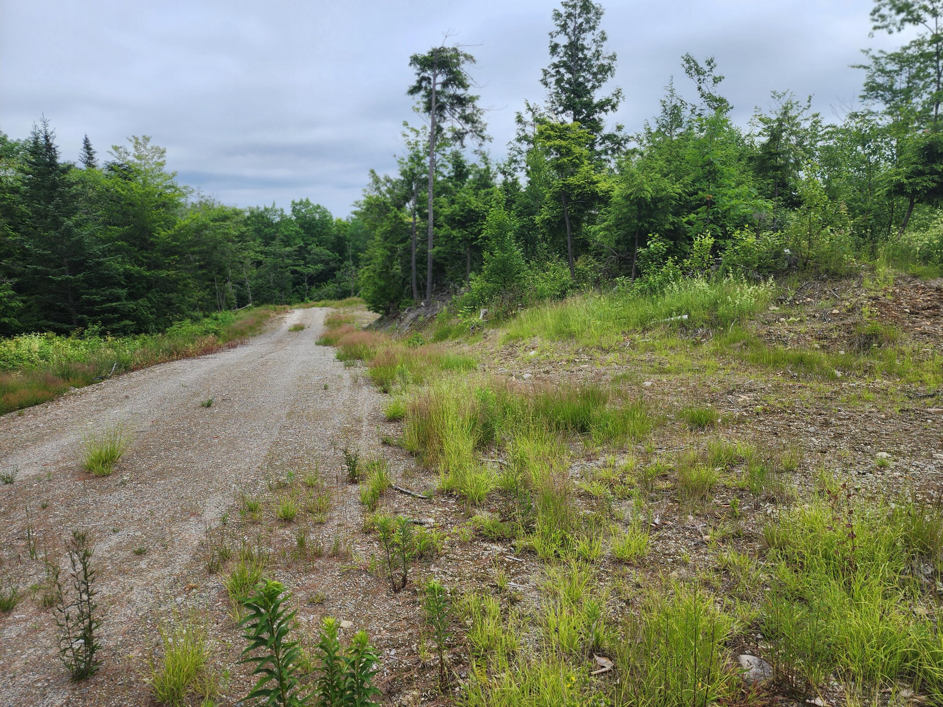 213 Moose Hill Road