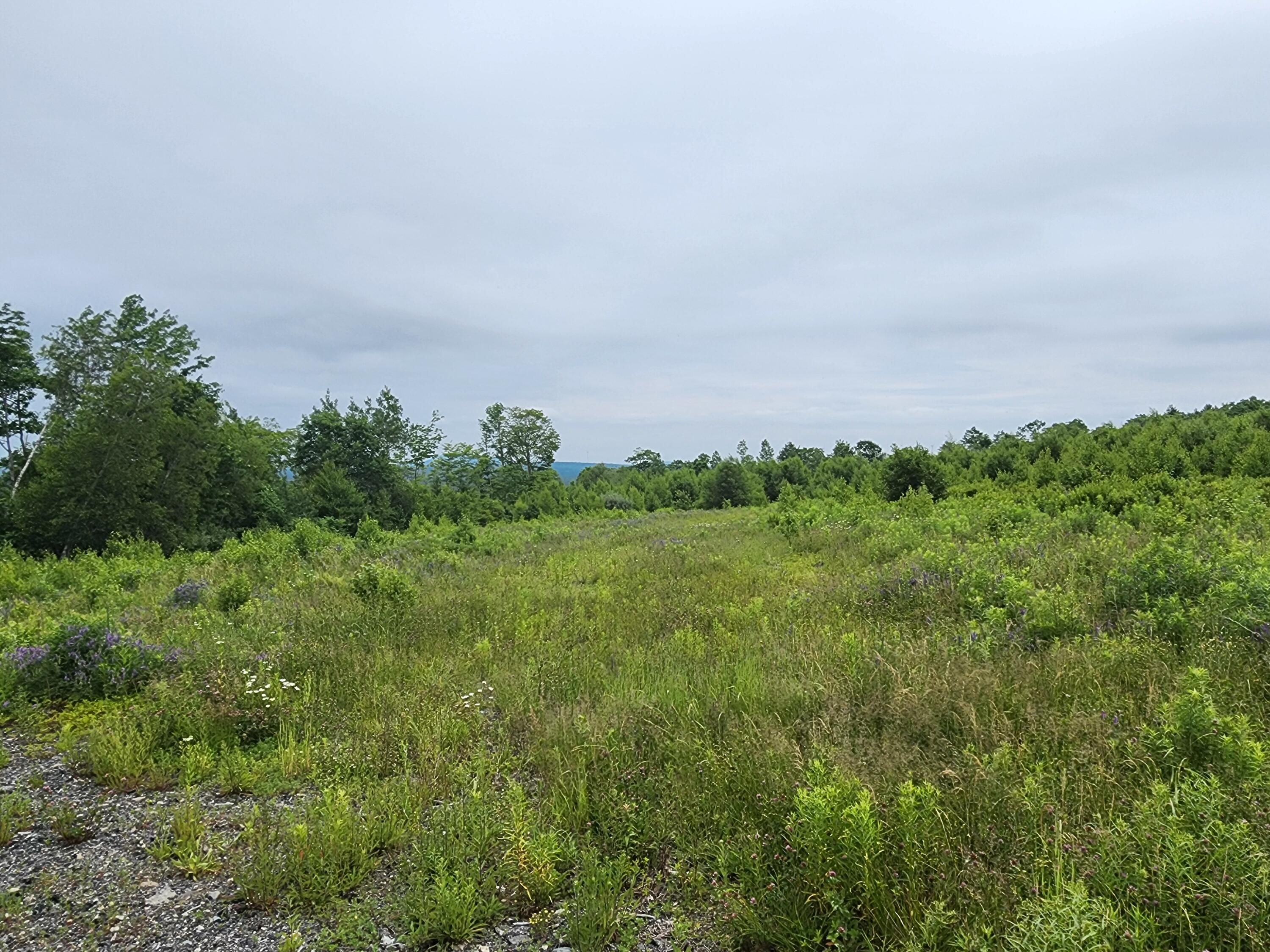 213 Moose Hill Road