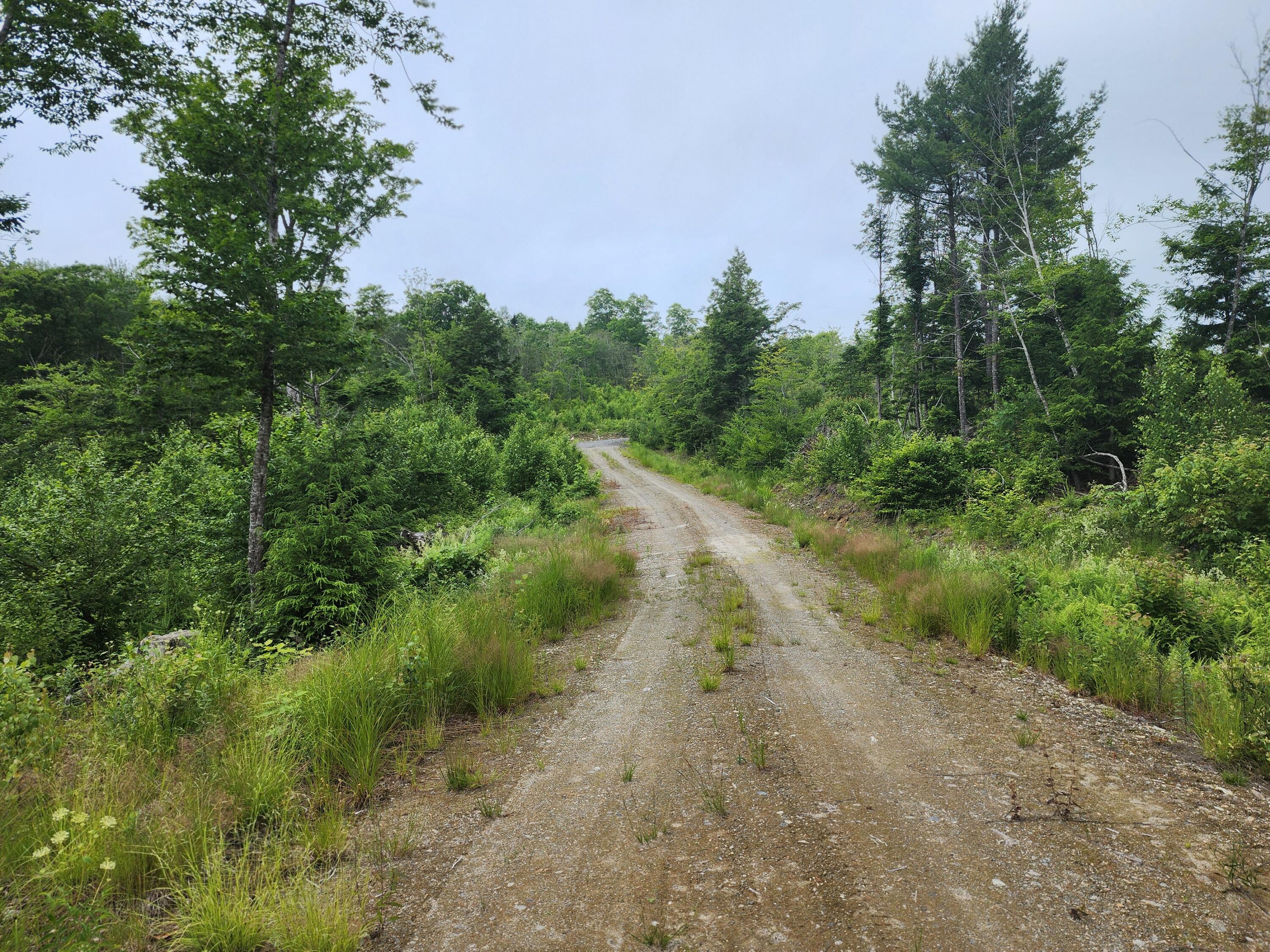 213 Moose Hill Road