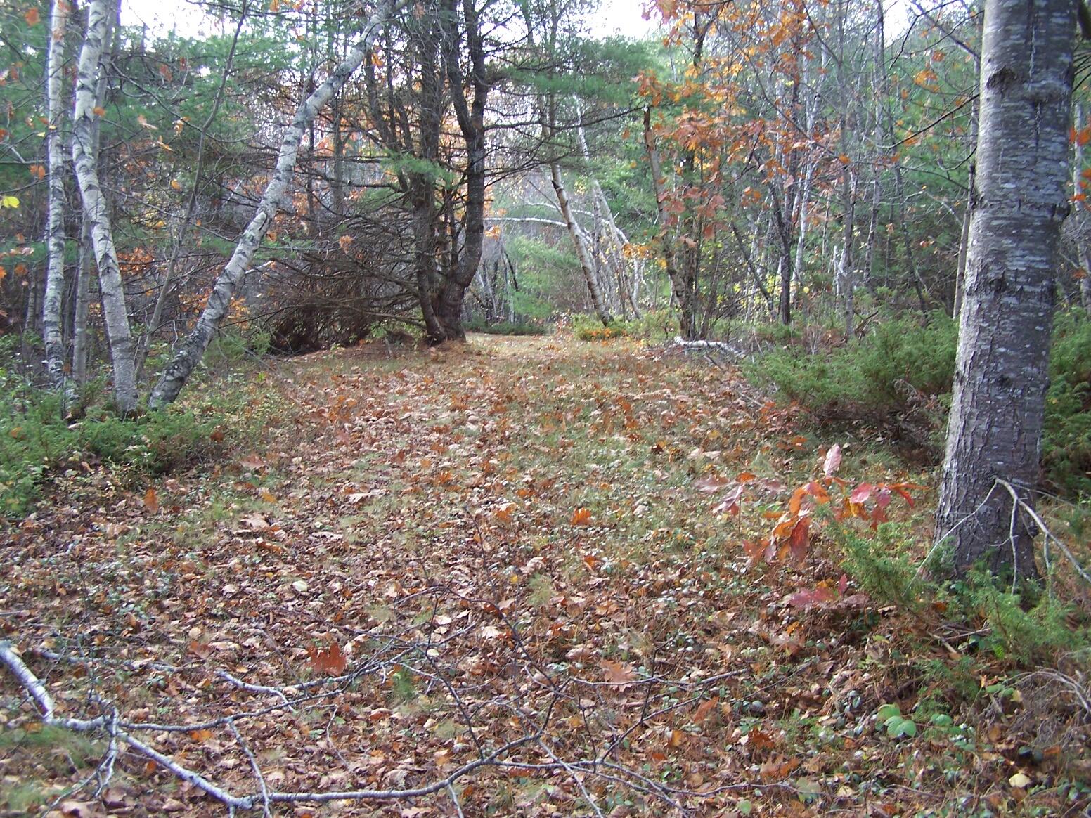 Lot 49 Gardner Road