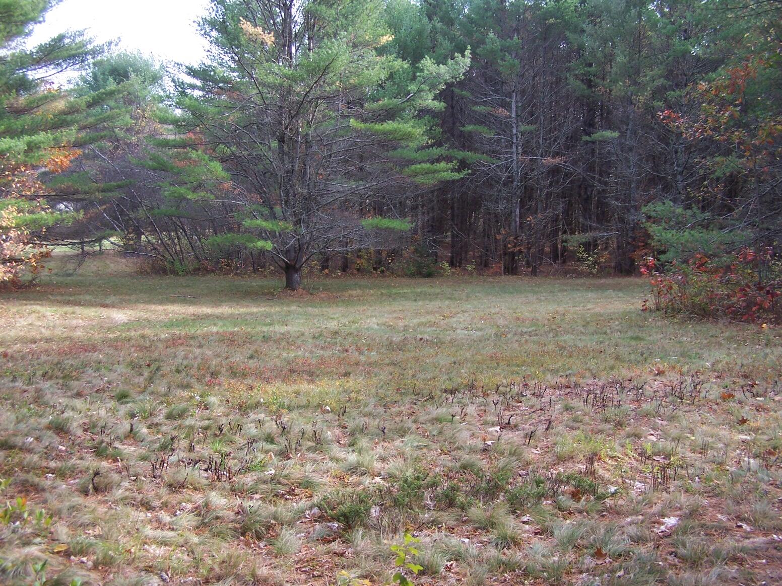 Lot 49 Gardner Road