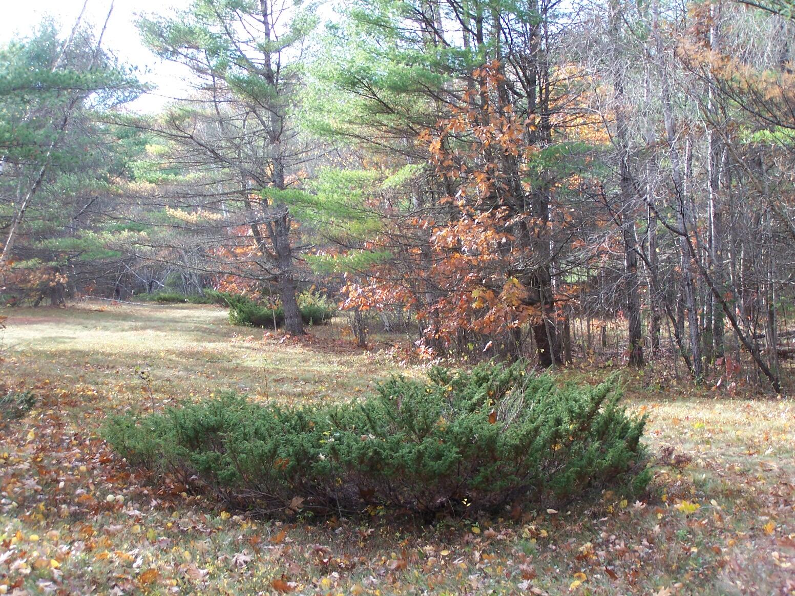 Lot 49 Gardner Road