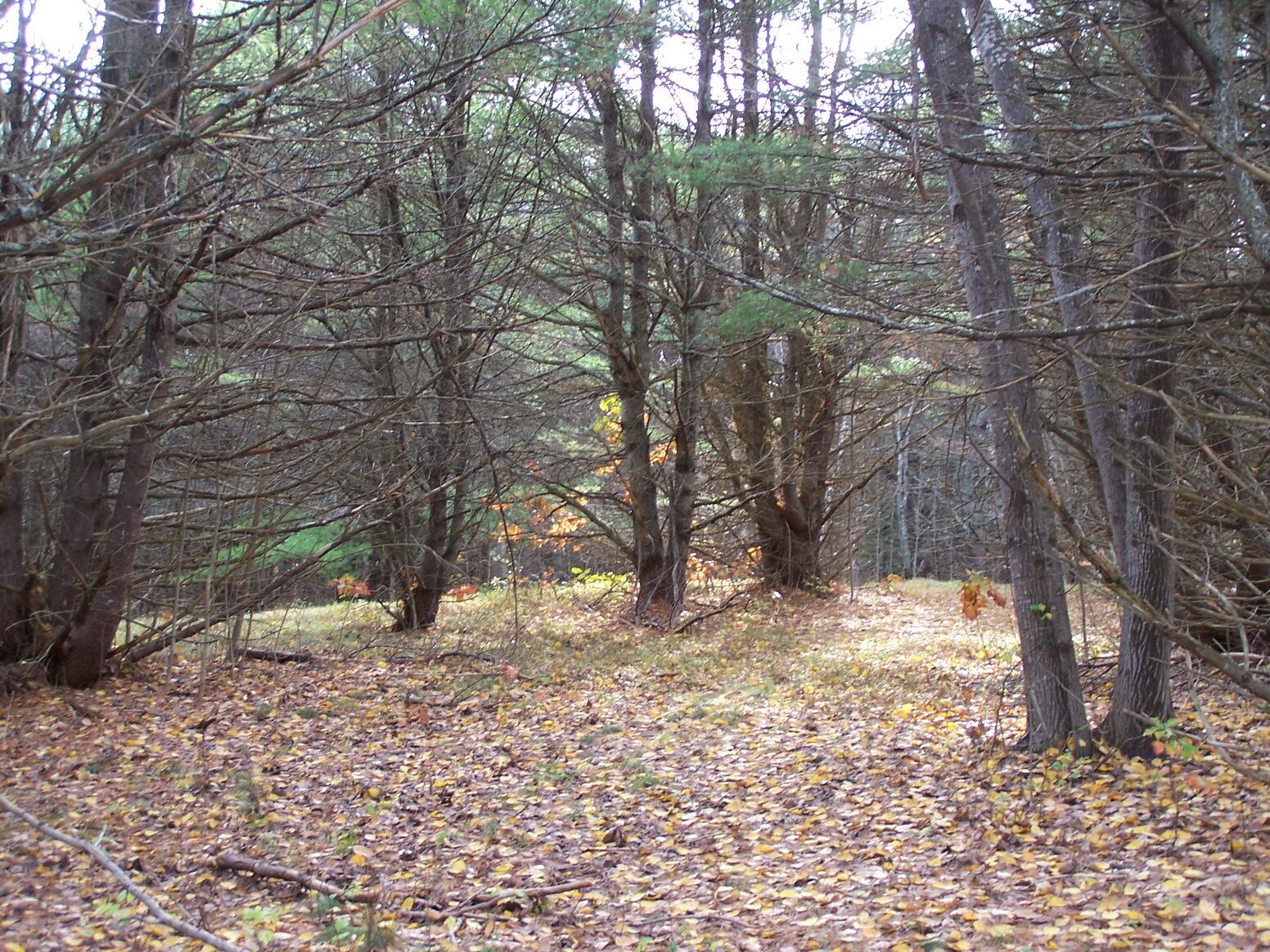Lot 49 Gardner Road