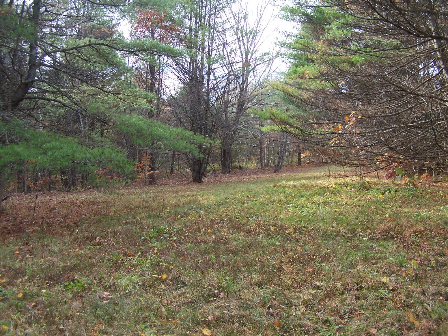 Lot 49 Gardner Road