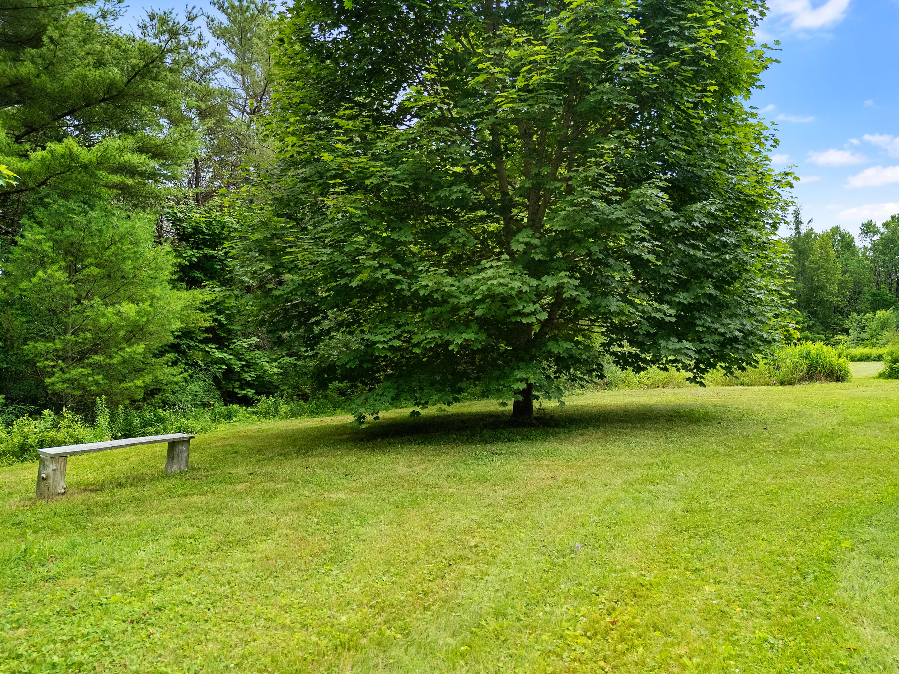549 Litchfield Road