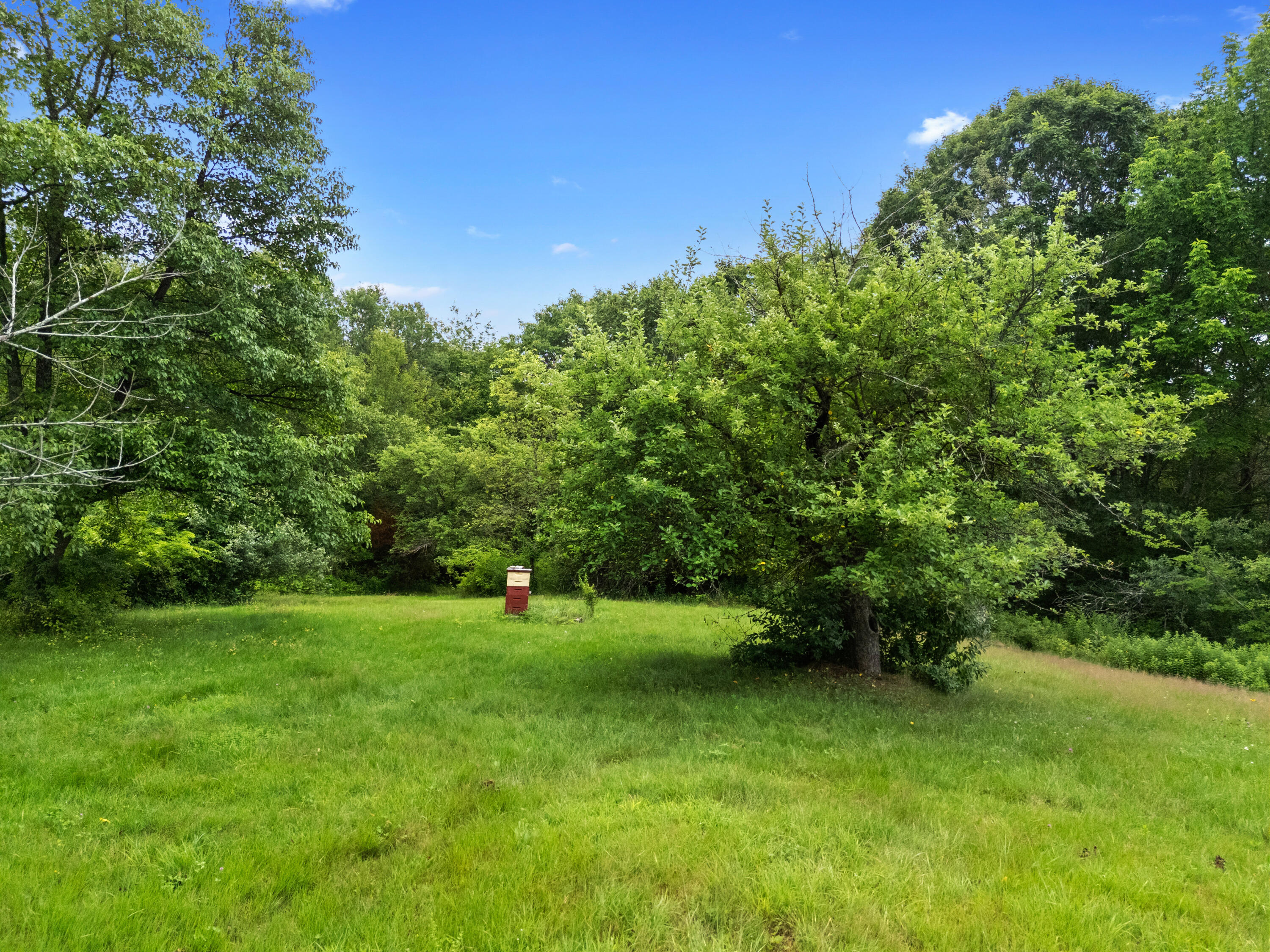 549 Litchfield Road