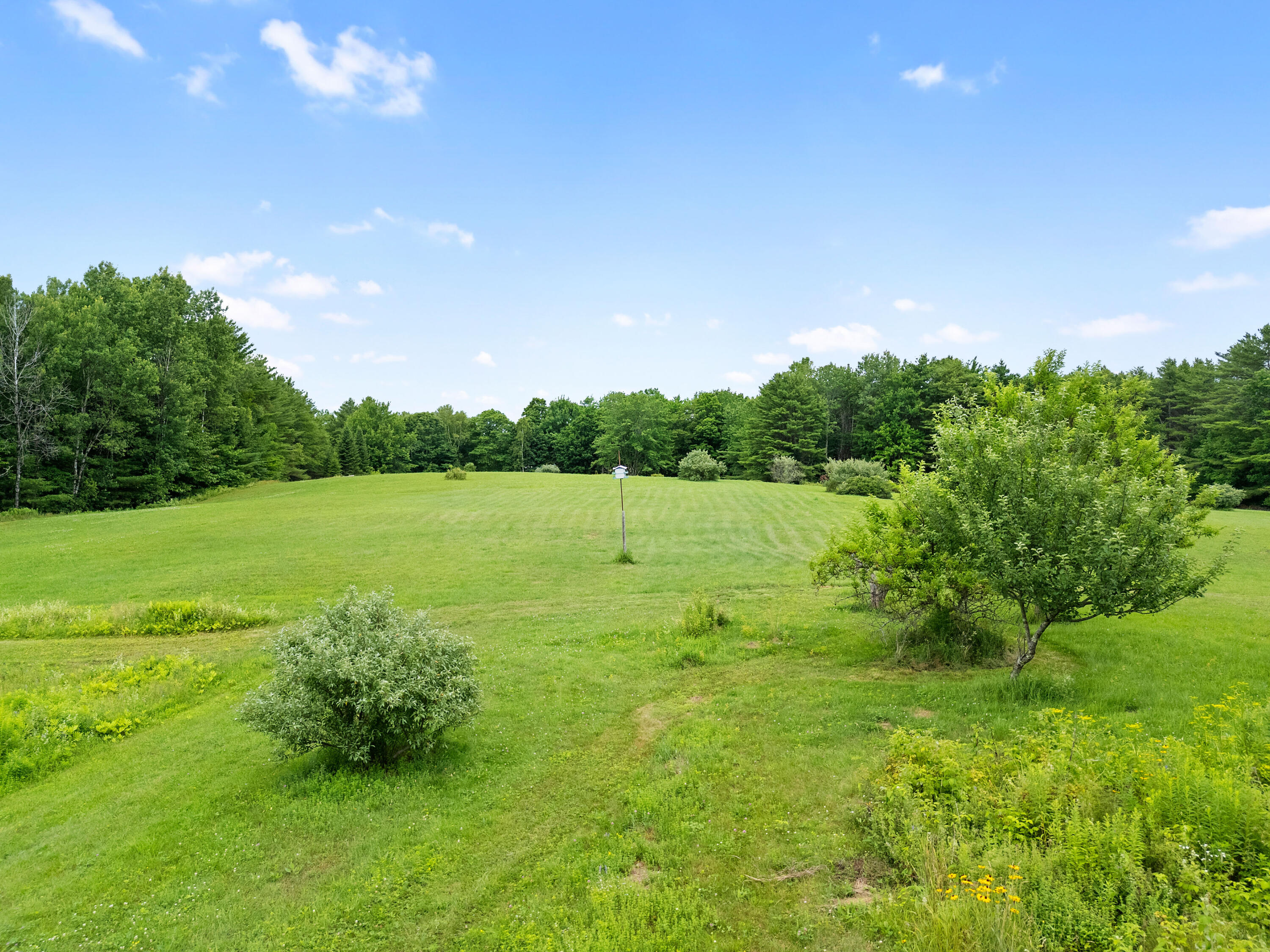 549 Litchfield Road