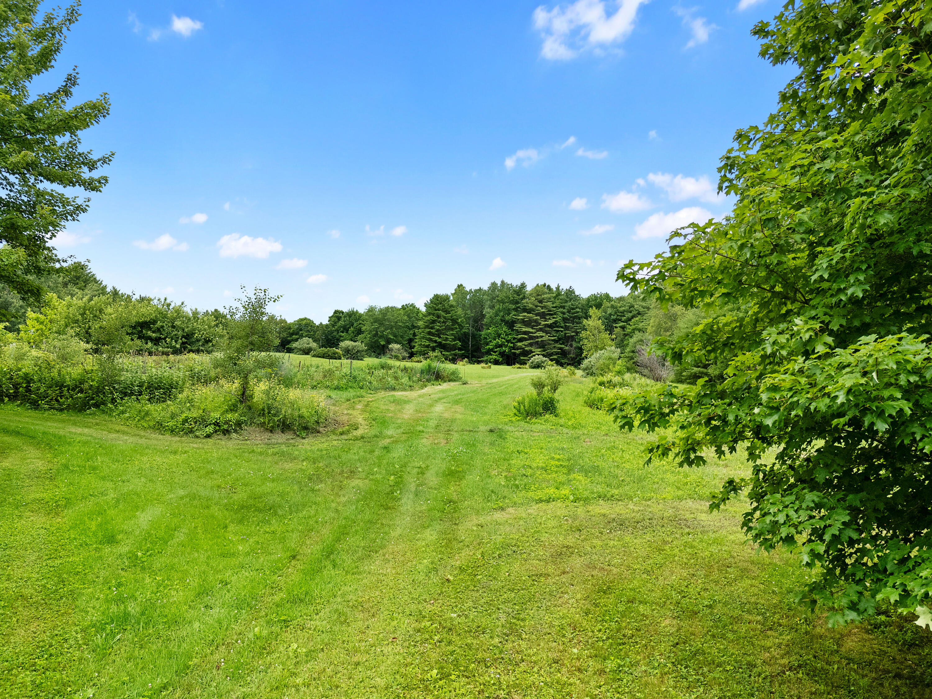 549 Litchfield Road