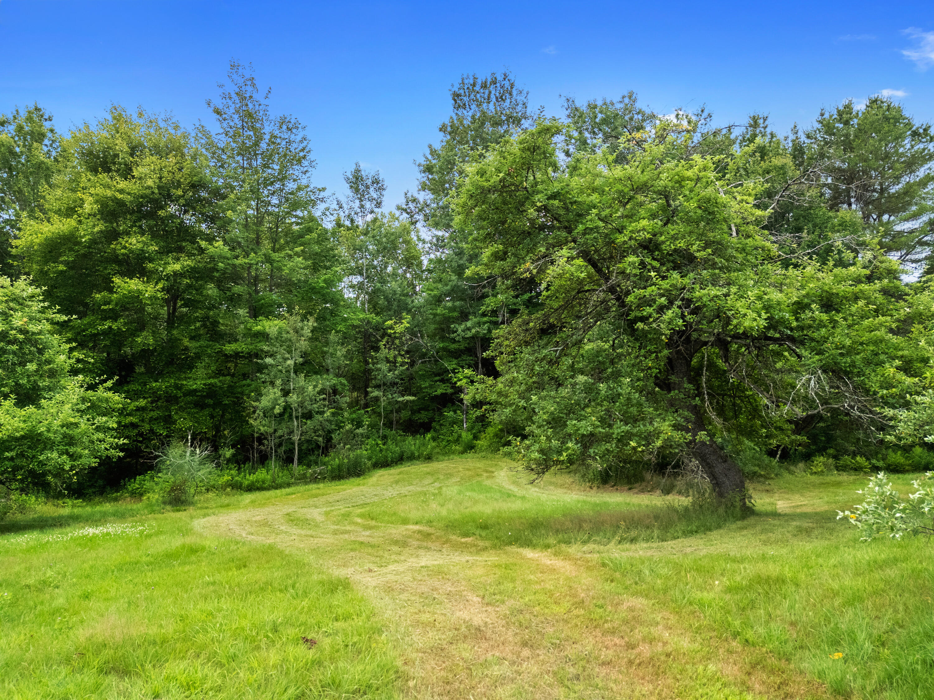 549 Litchfield Road