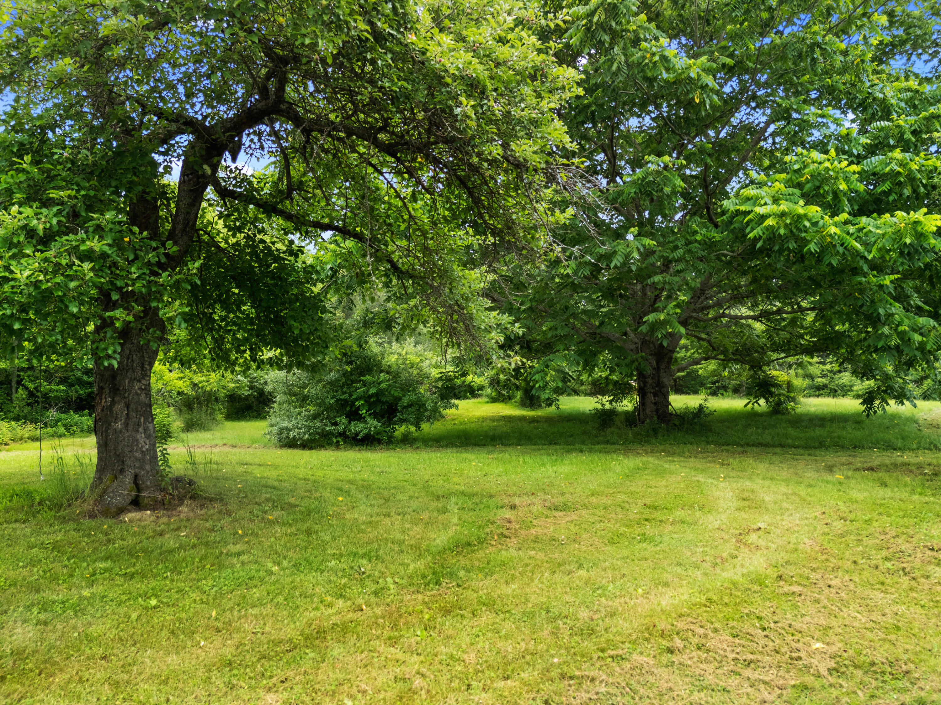 549 Litchfield Road