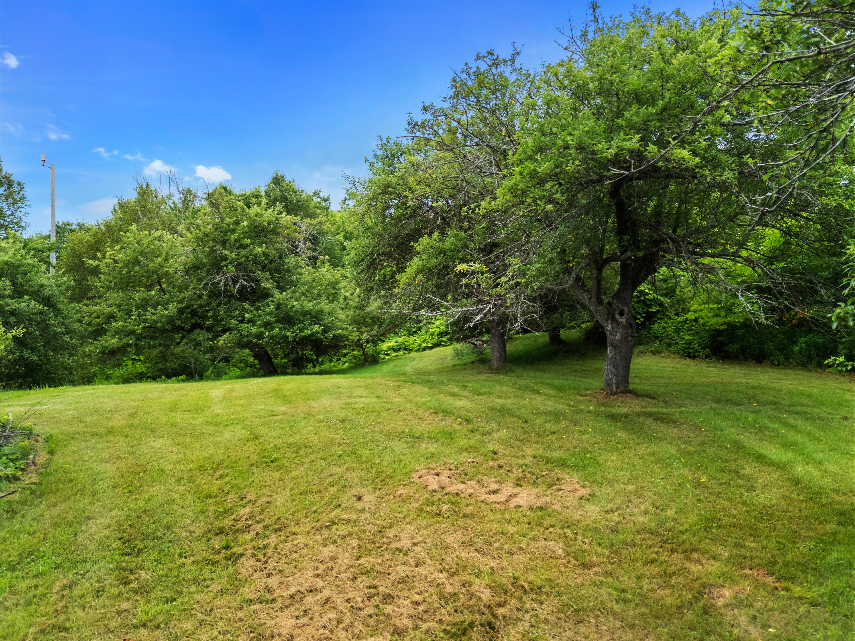 549 Litchfield Road