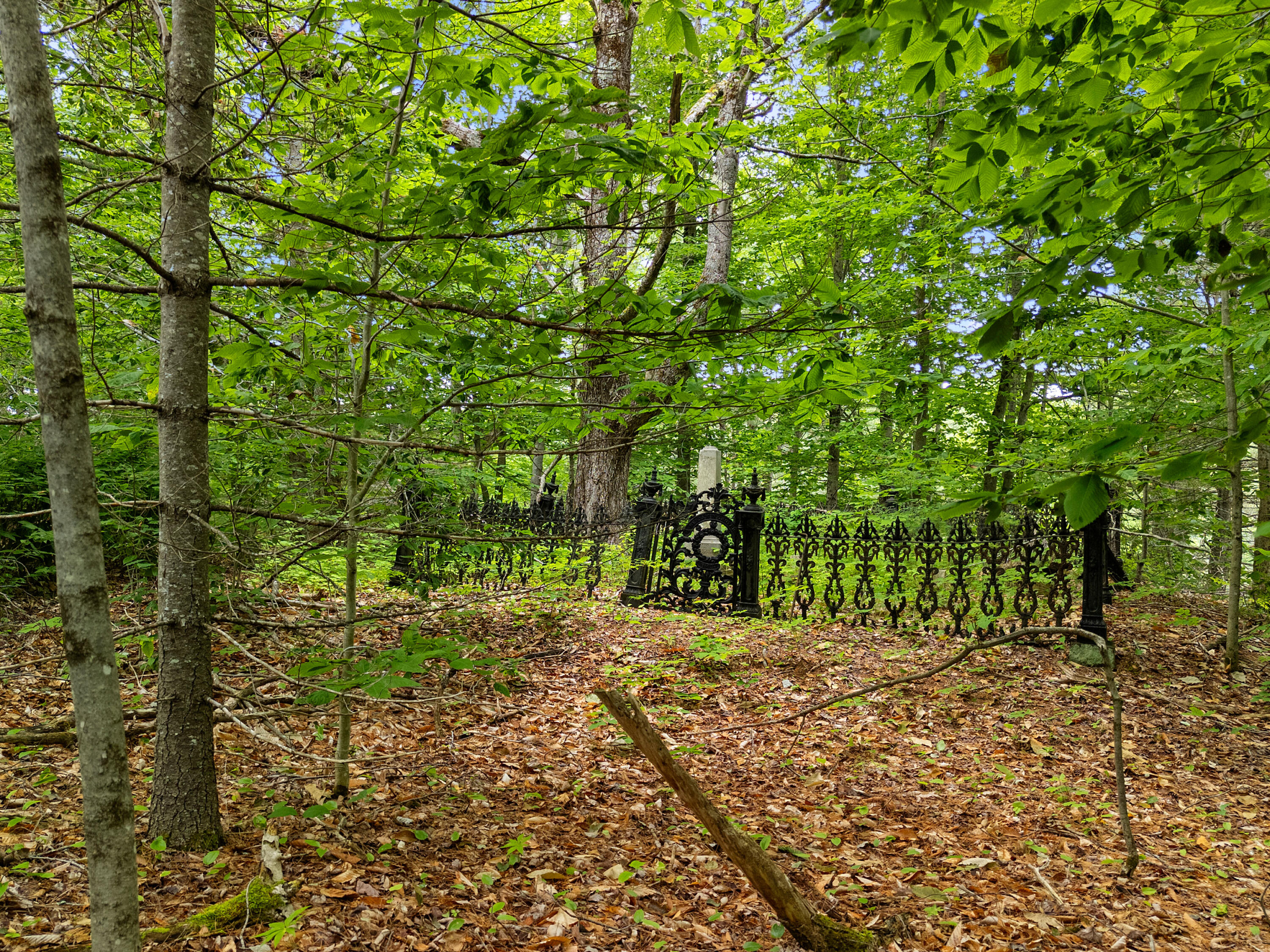 549 Litchfield Road