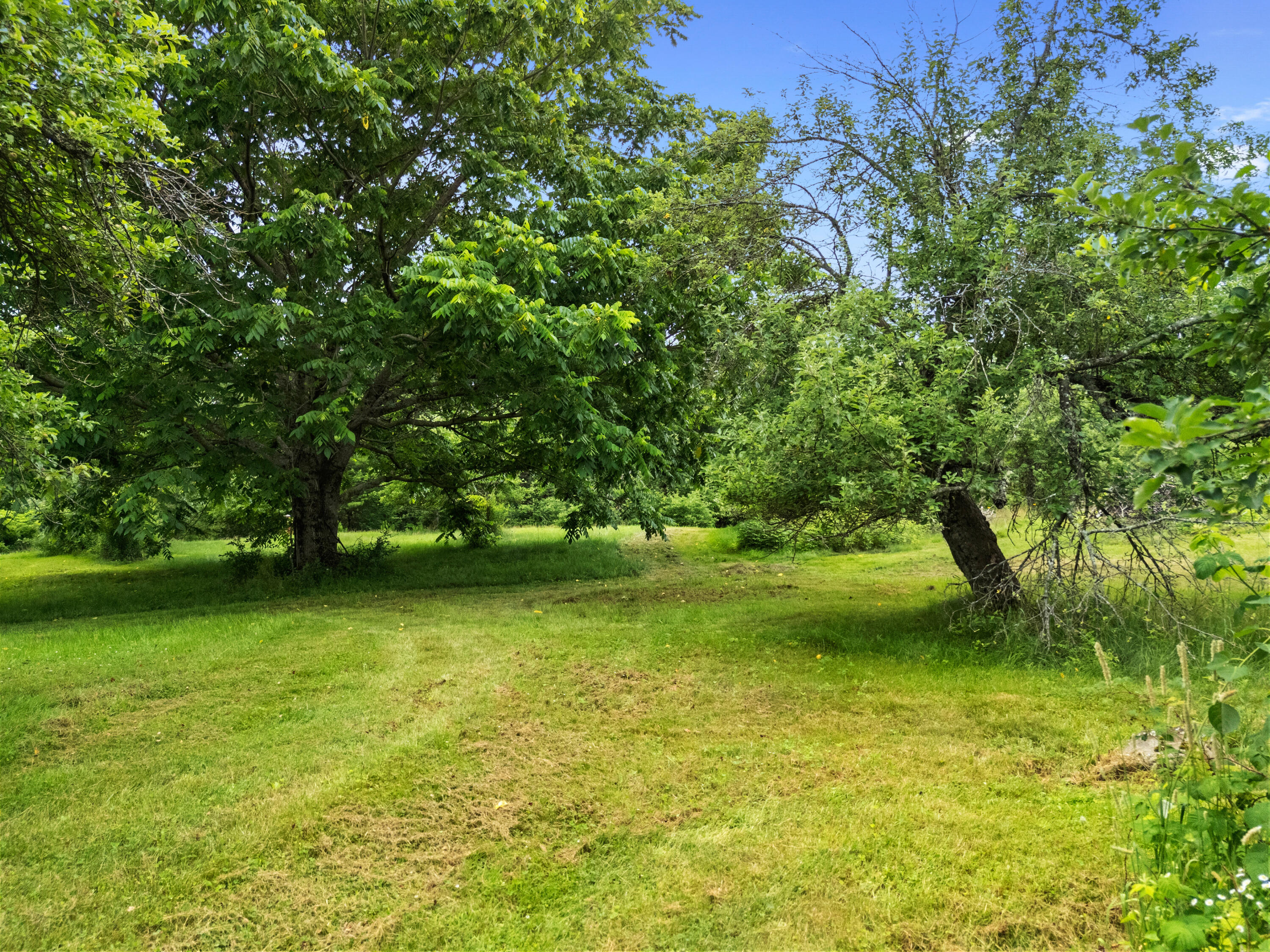 549 Litchfield Road
