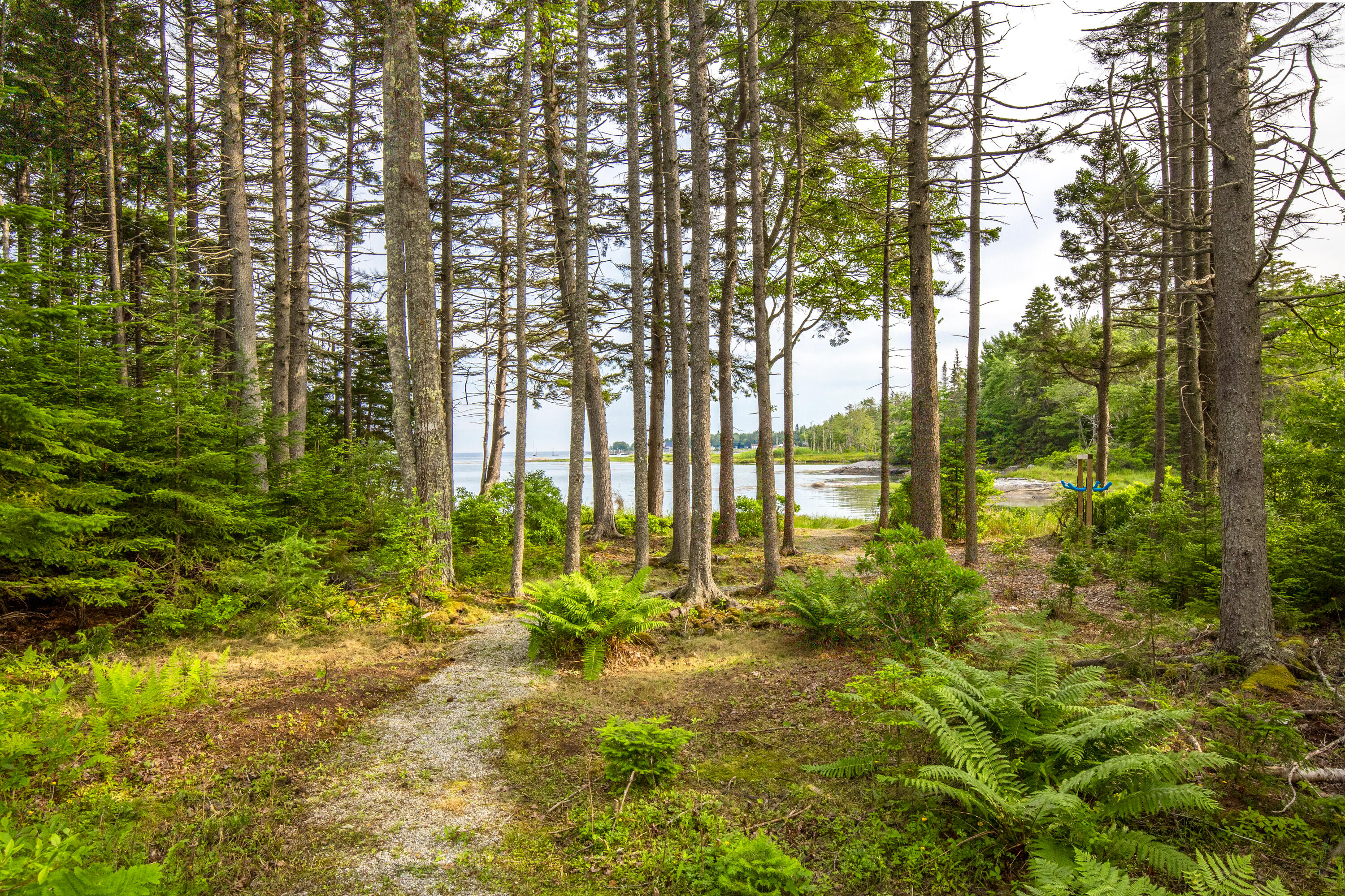 133 Scraggle Point Road
