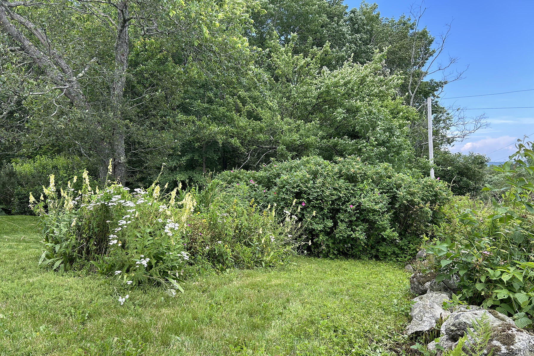 1056 Cape Jellison Road