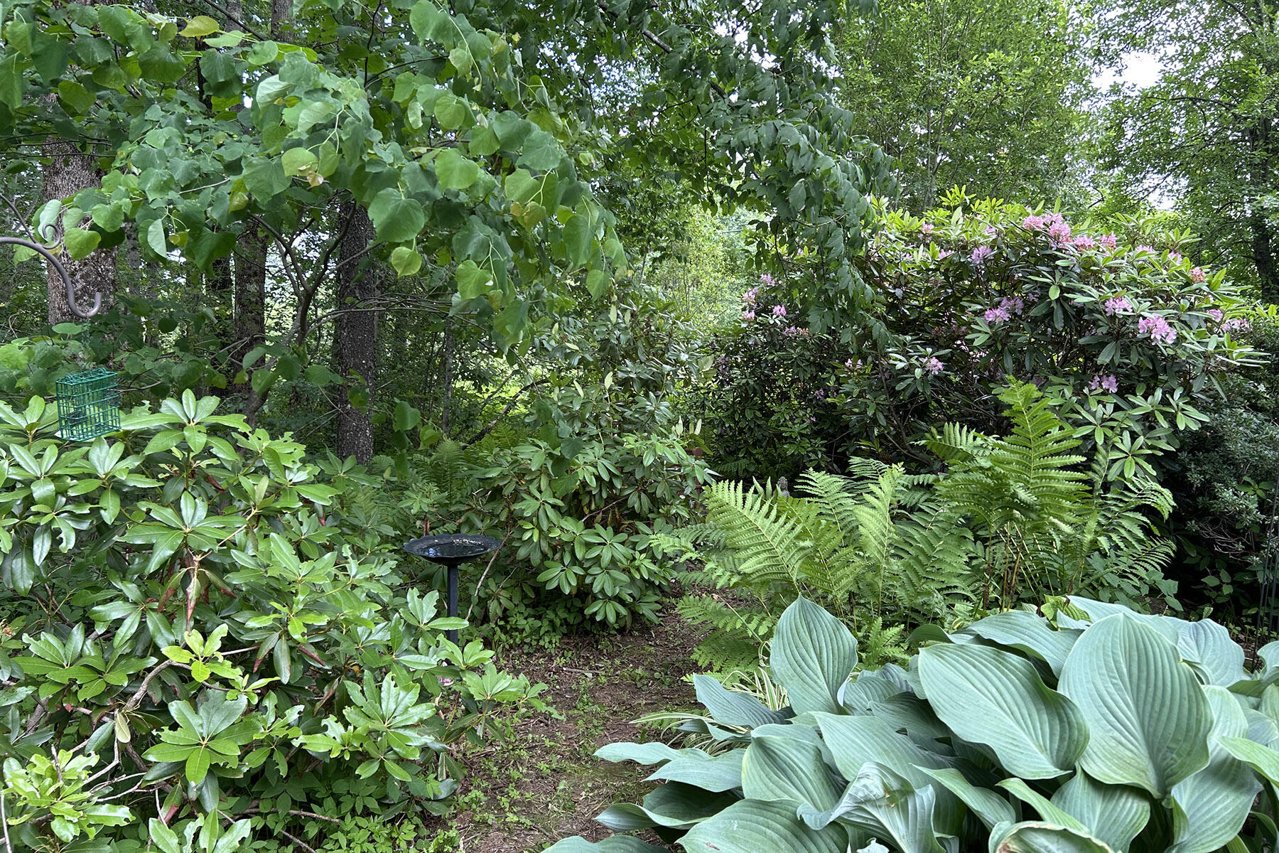 1056 Cape Jellison Road