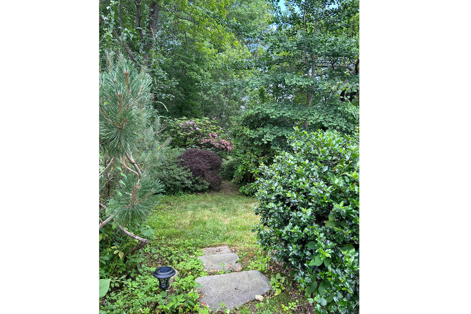 1056 Cape Jellison Road