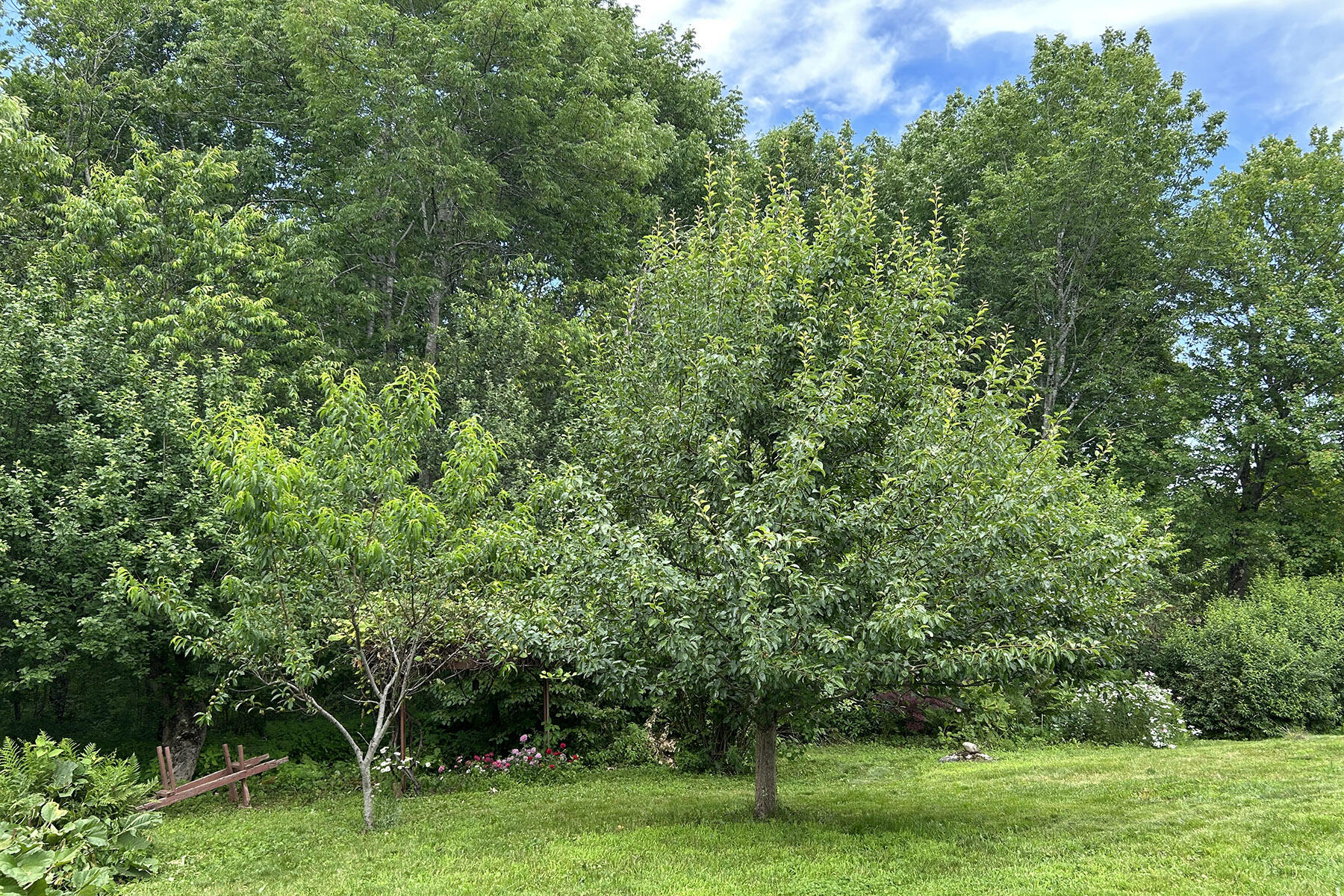 1056 Cape Jellison Road
