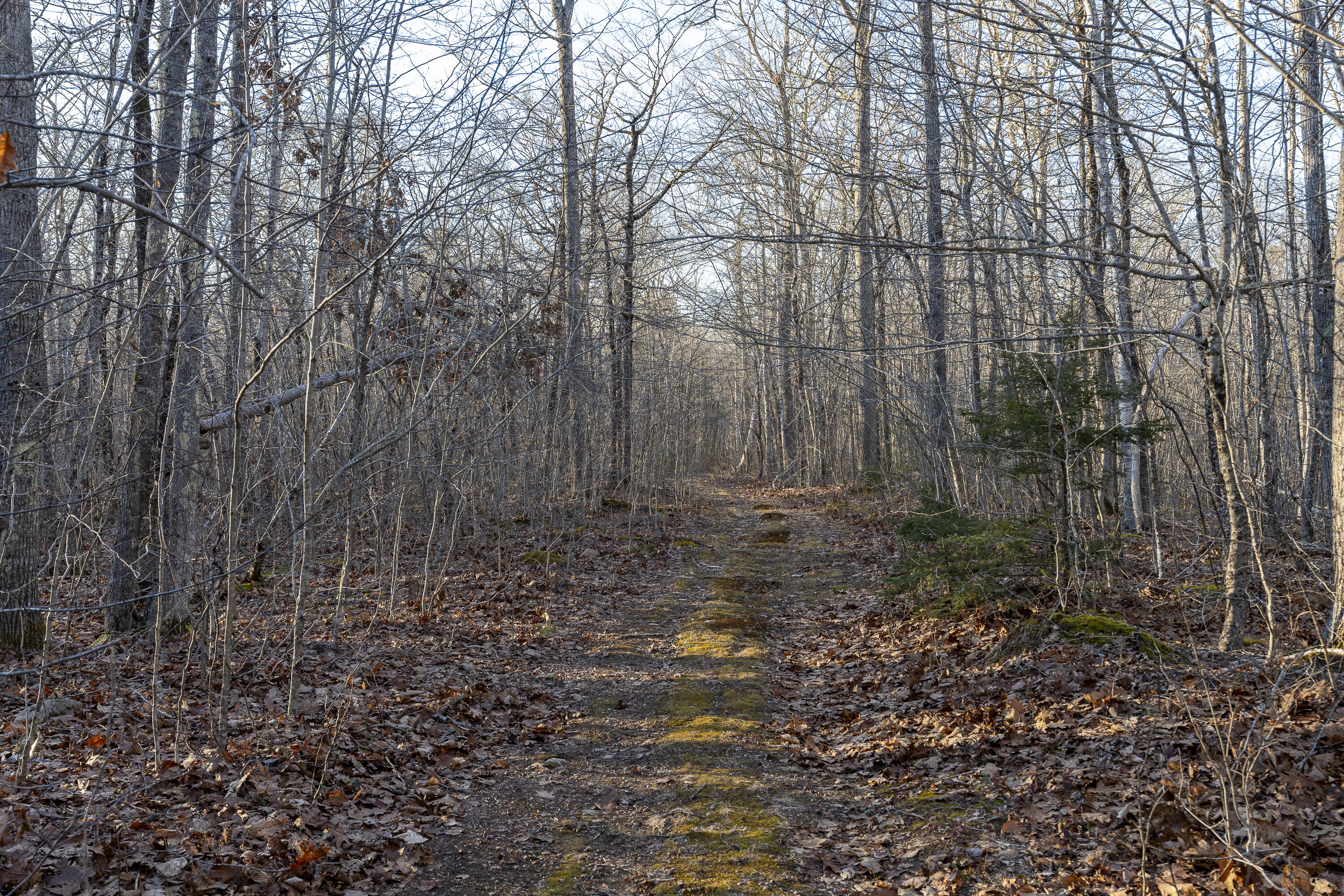 Lot 1 Nobleboro Road