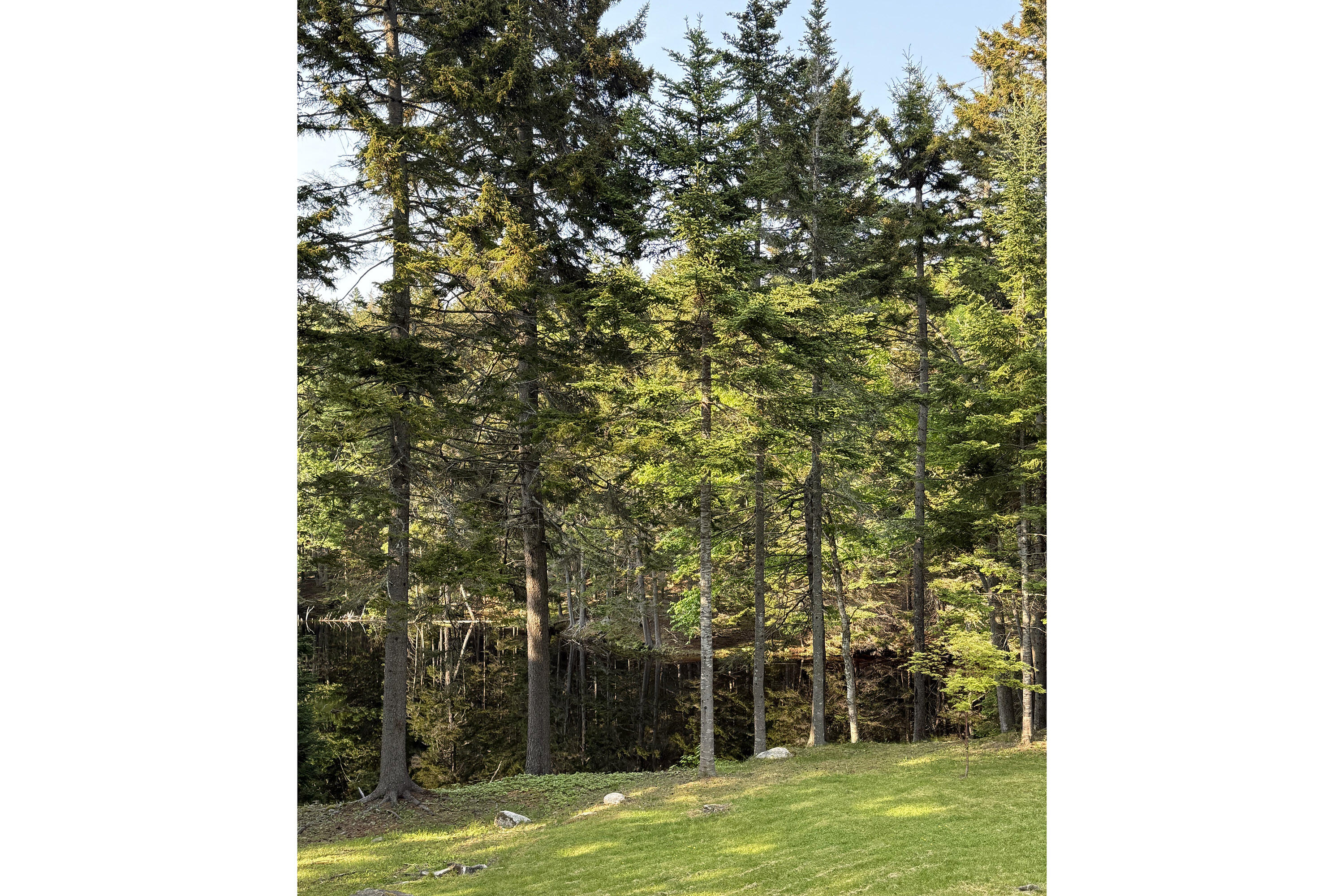 44 King Phillips Trail